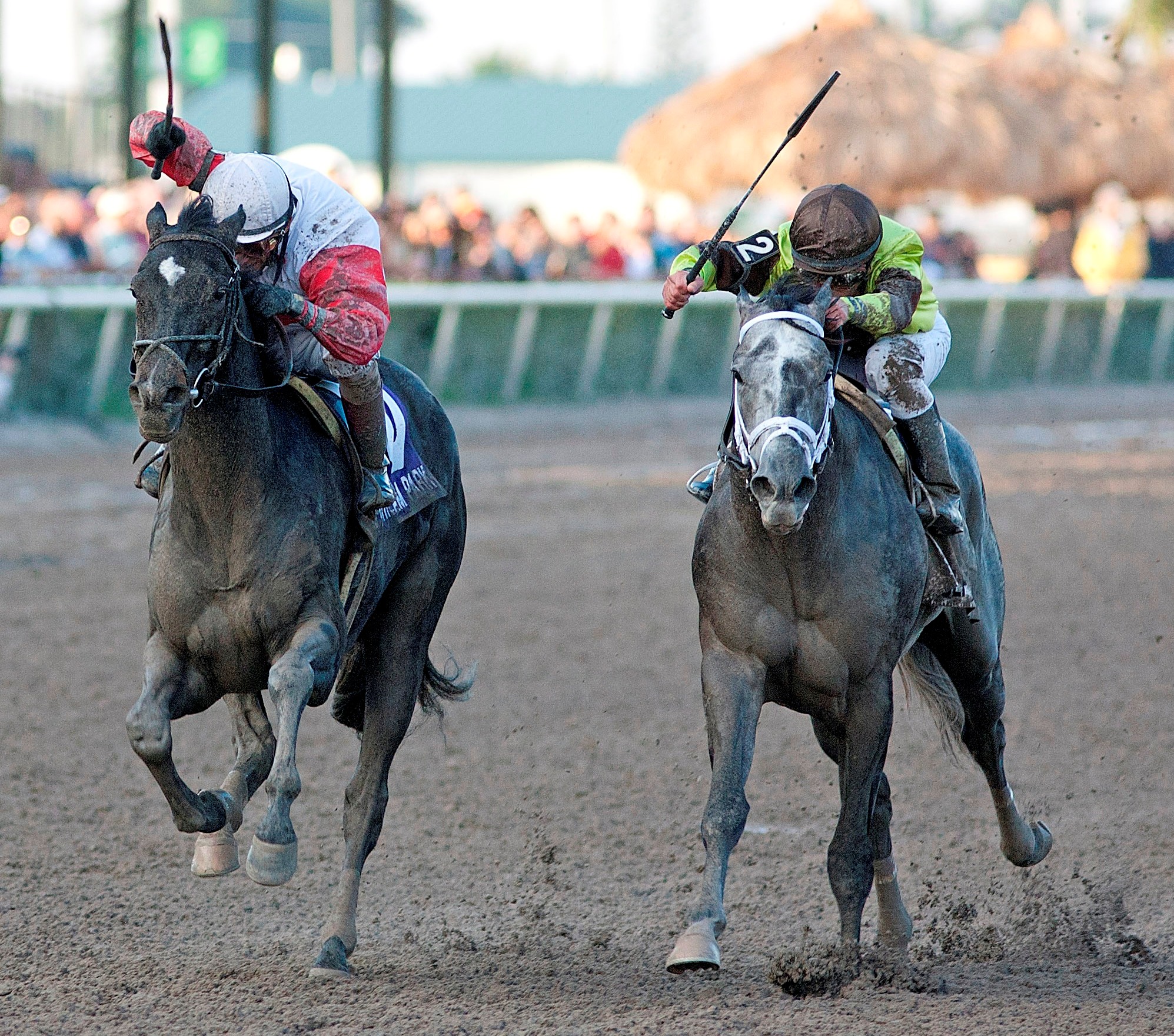Hymn Book (left) beats Mission Impazible in Donn