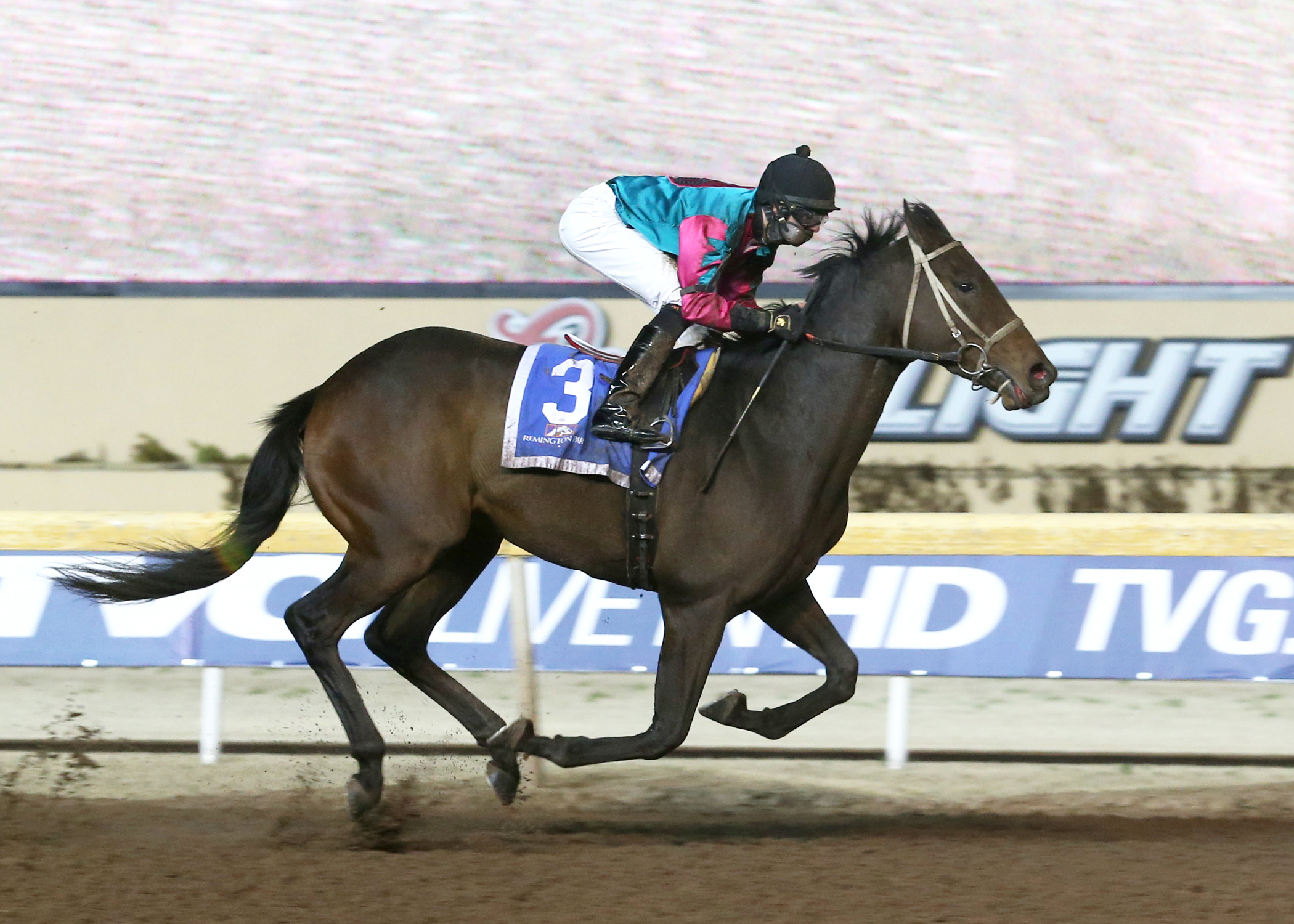 Hyper Drive wins the 2016 Jim Thorpe Stakes