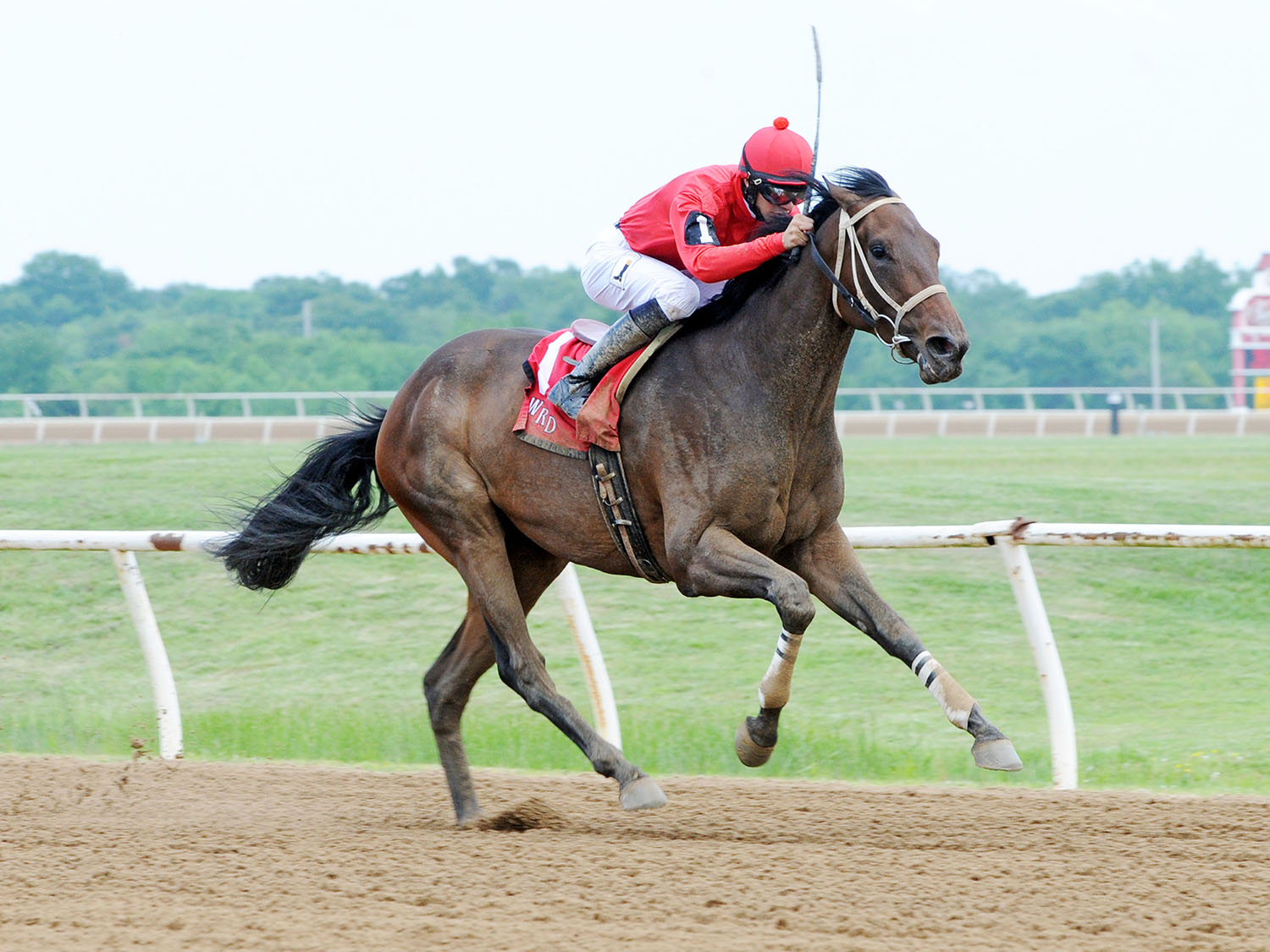 Hyper Drive wins the 2017 Cherokee Nation Classic Cup