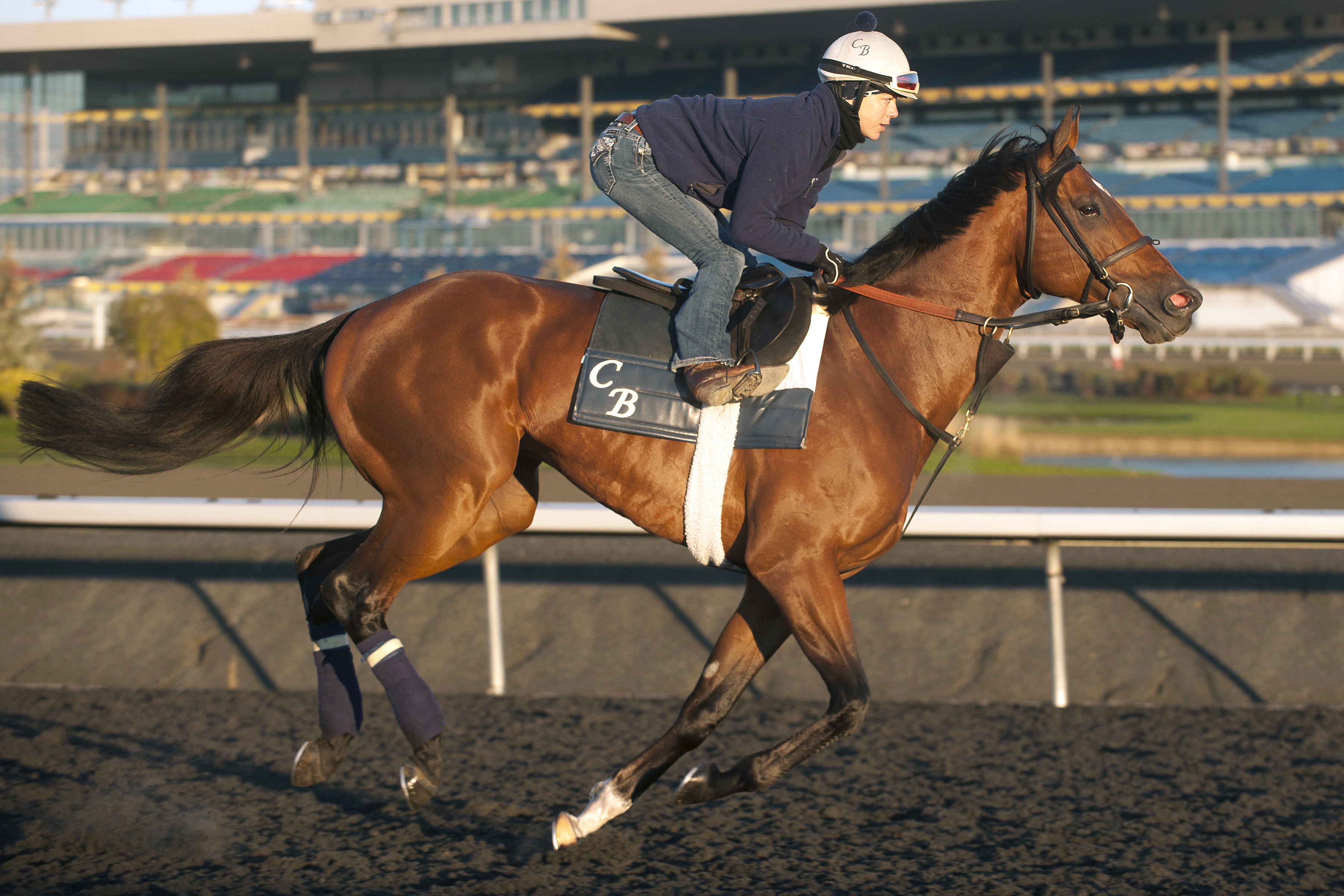 Hyper training at Woodbine in 2013