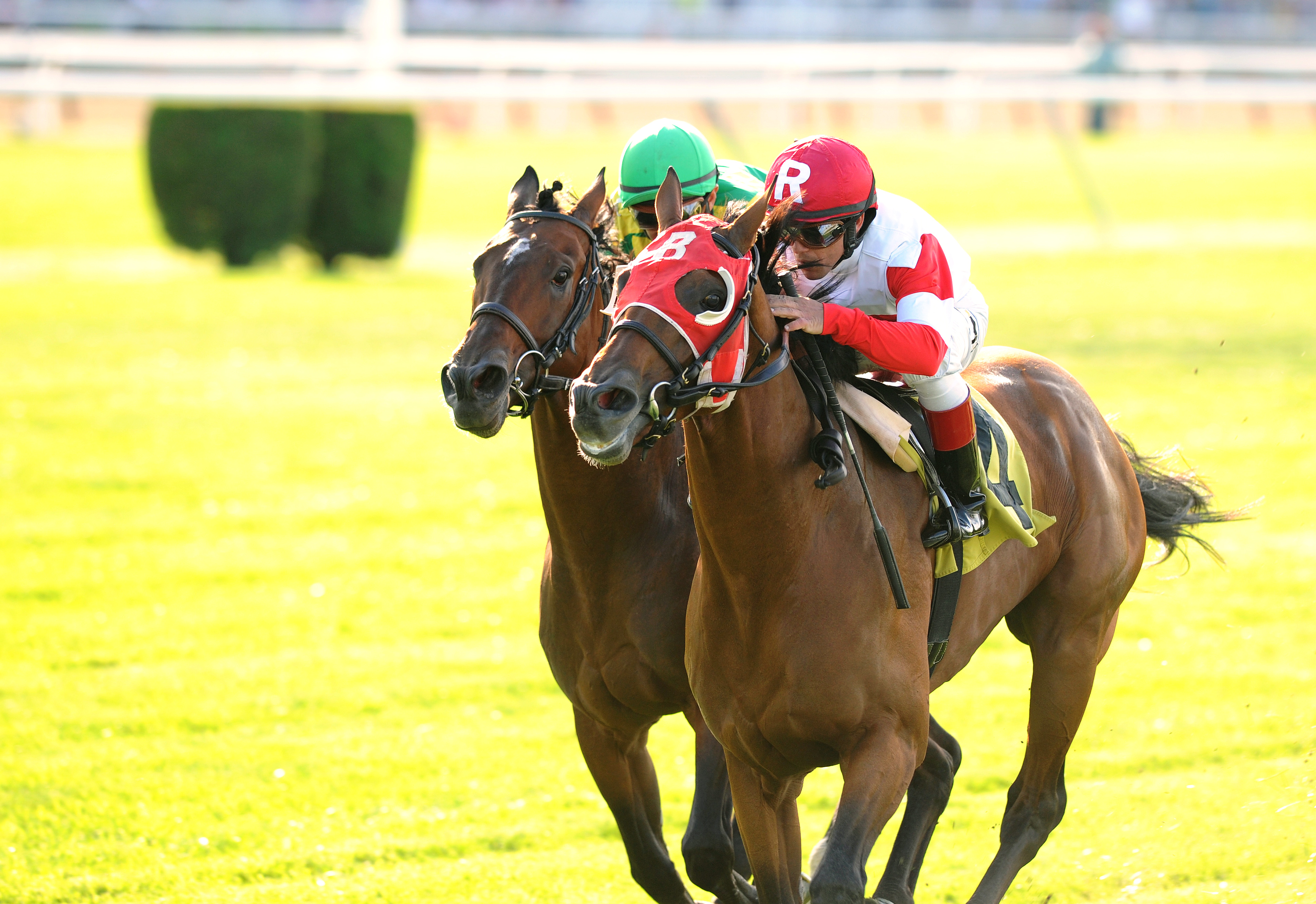 Hyper wins the 2013 Bowling Green