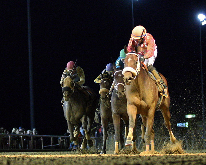 Hypothesis wins the 2019 West Virginia Vincent Moscarelli Memorial Breeders' Classic at Charles Town