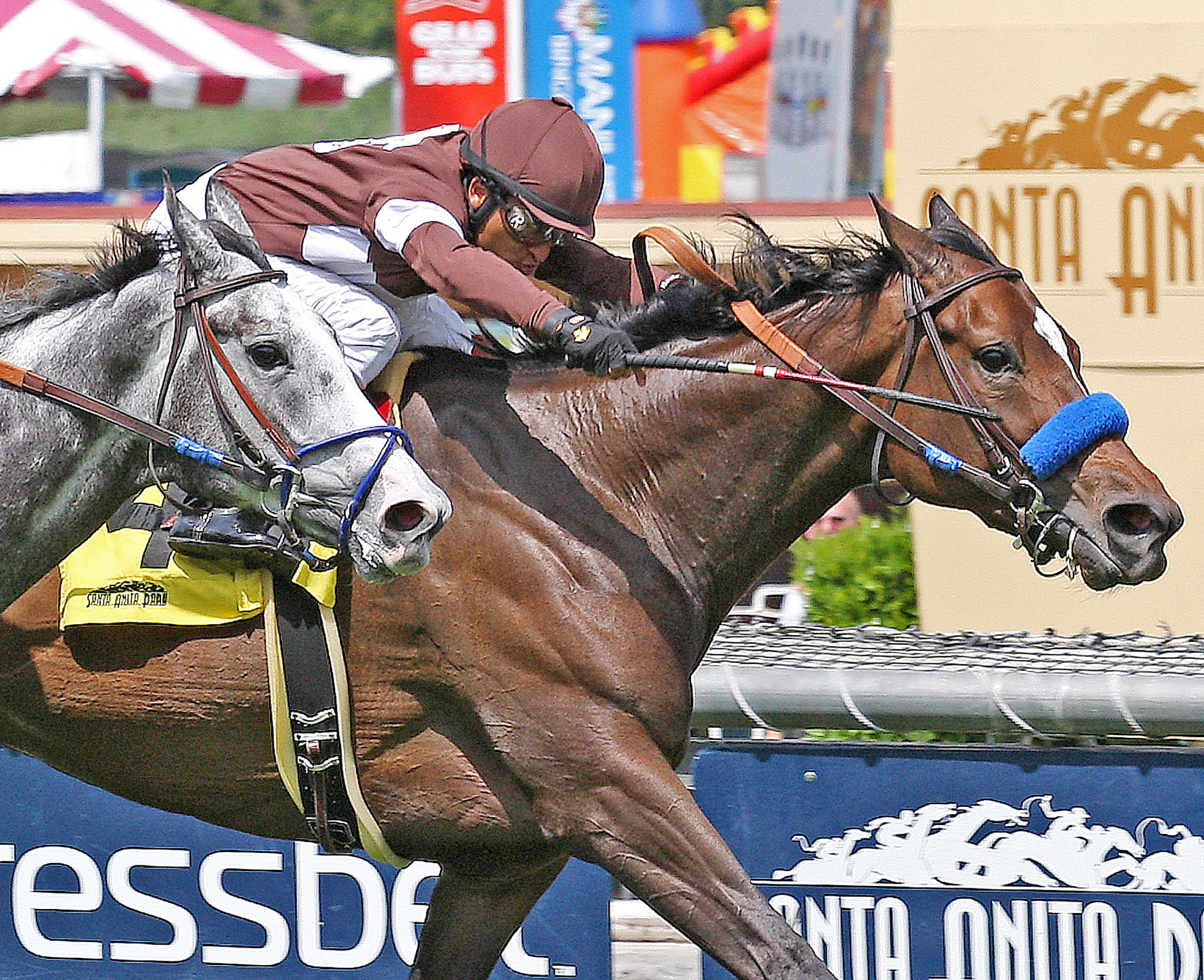 I Dazzle wins the American Beauty