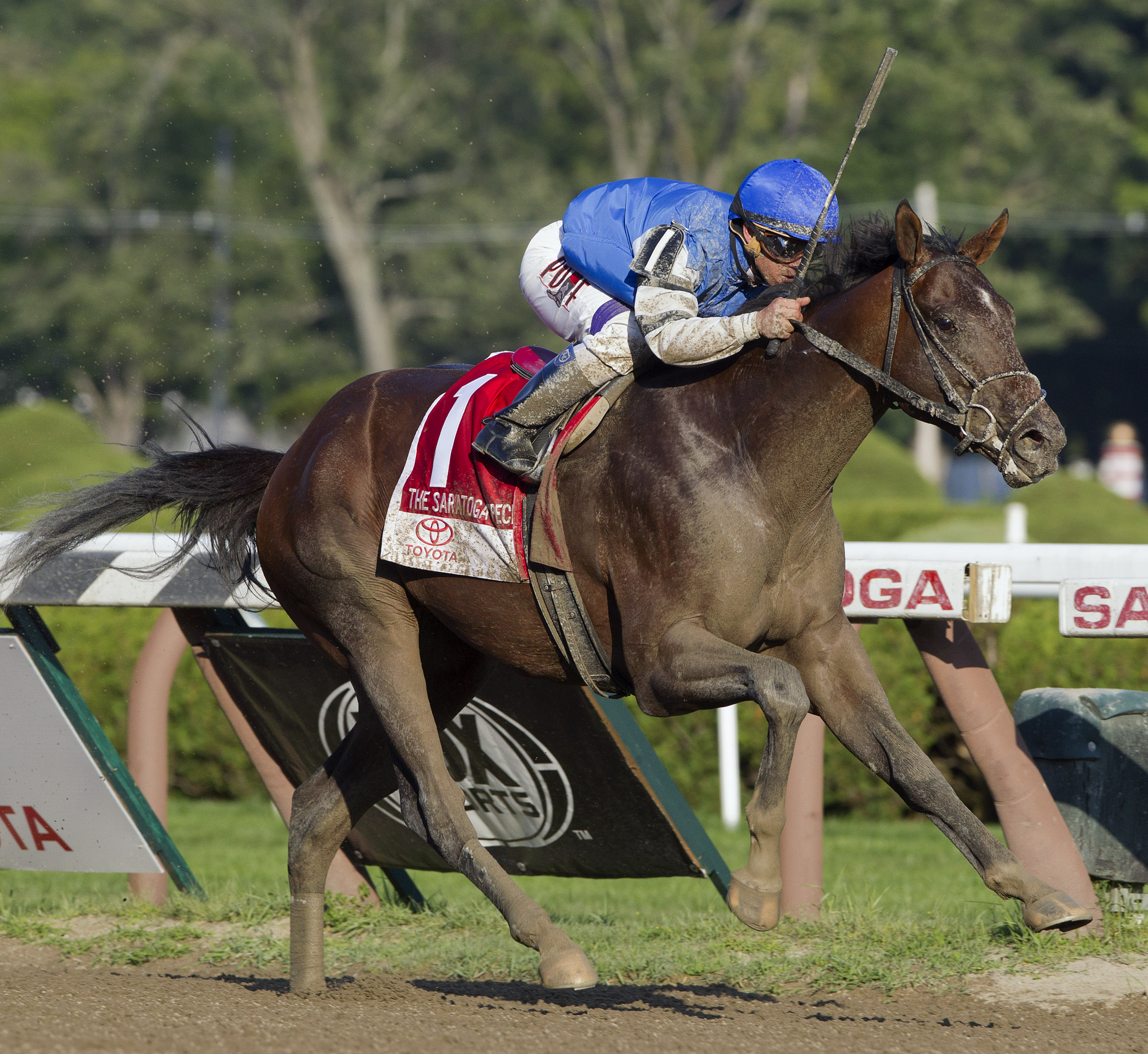 I Spent It wins the 2014 Saratoga Special Stakes