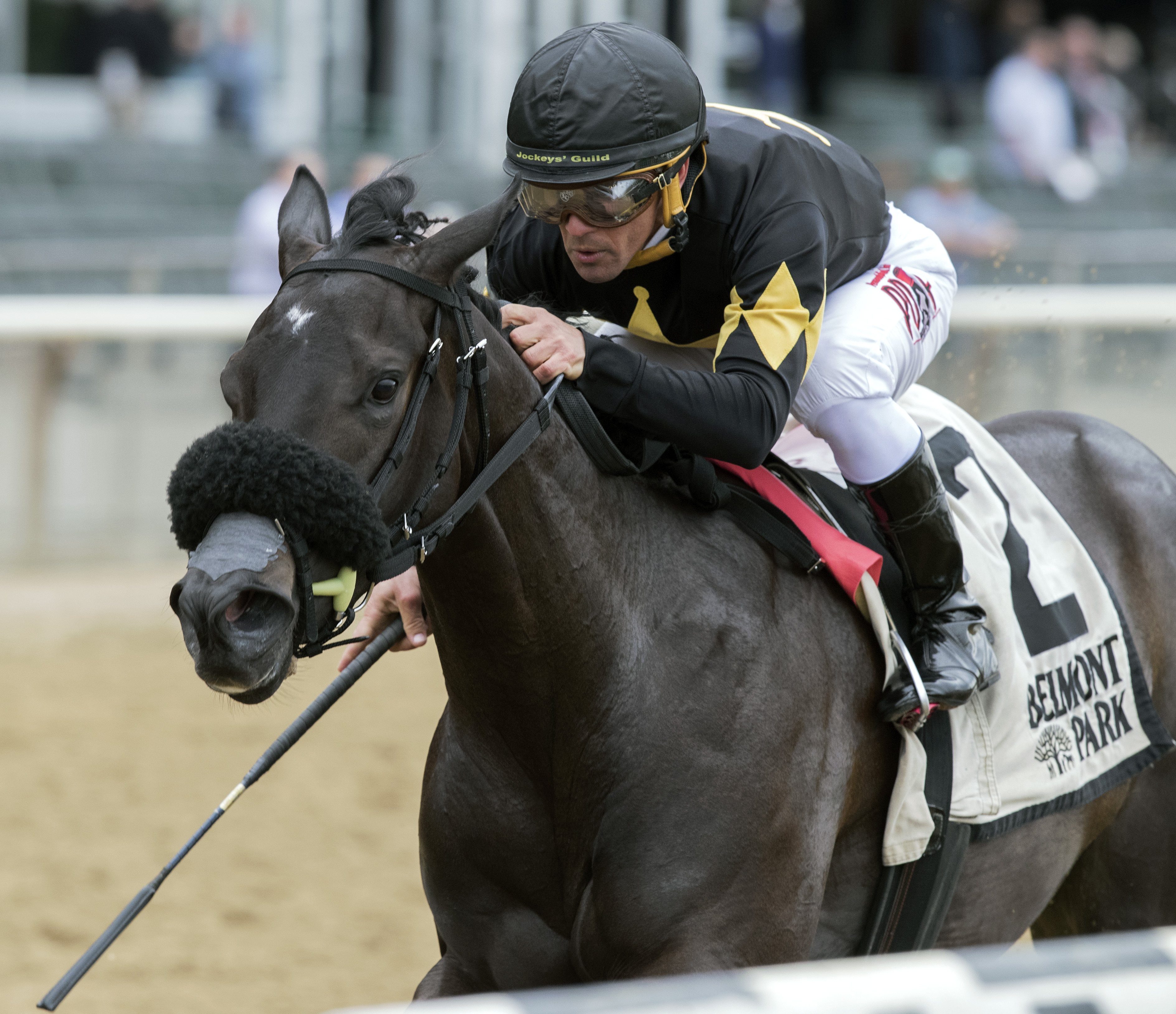I Still Miss You wins the Astoria Stakes