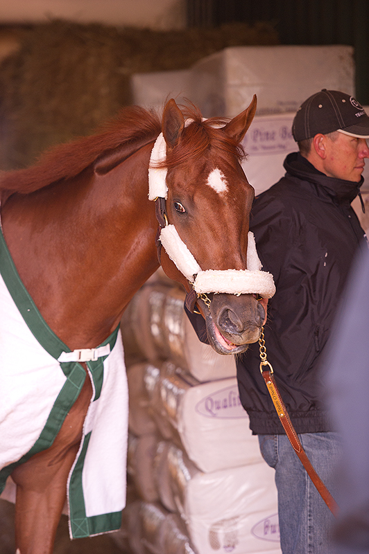 Preakness 2012: Kentucky Derby 1-2 the focus