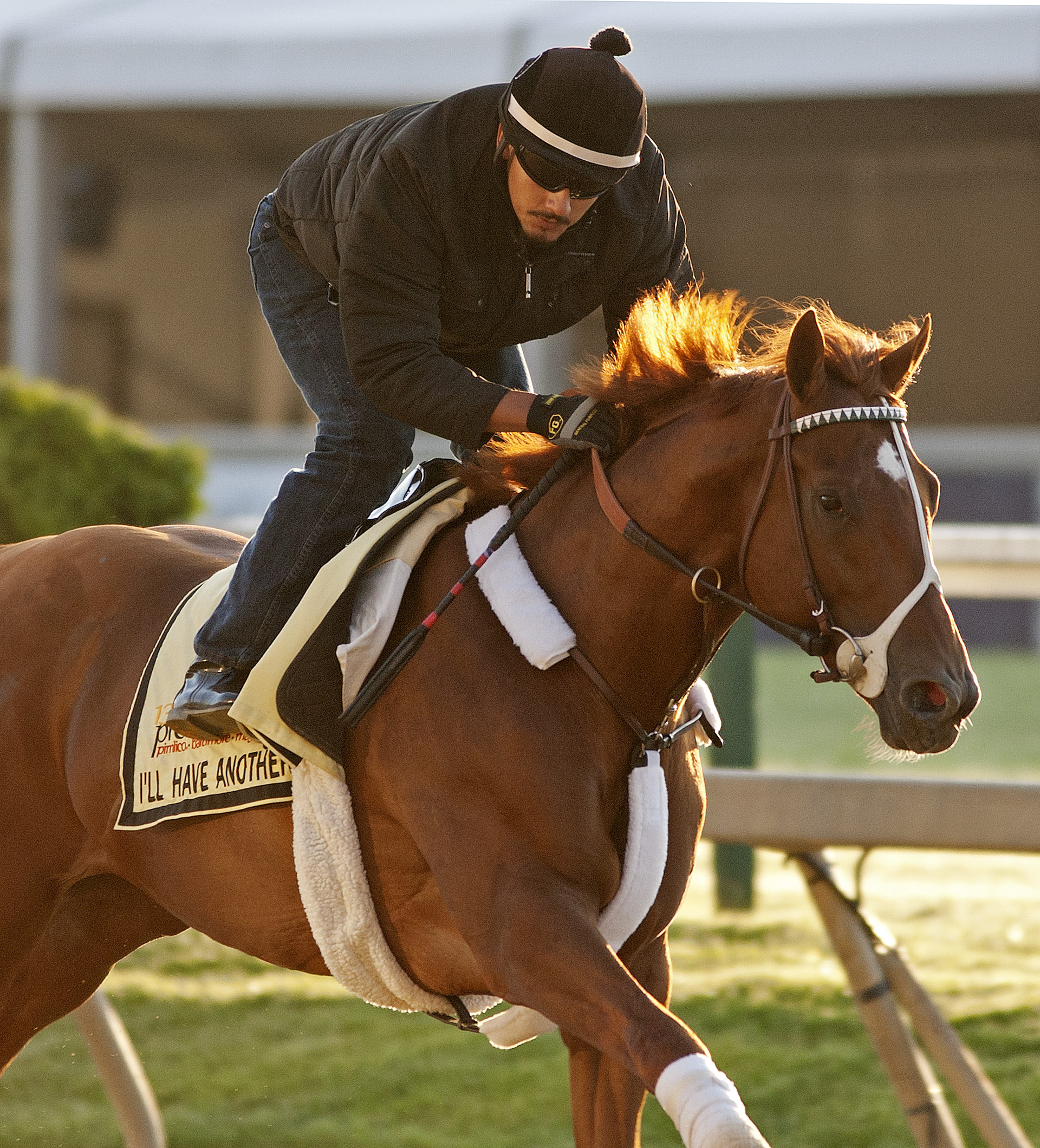 Crist: Triple Crown gods play no favorites