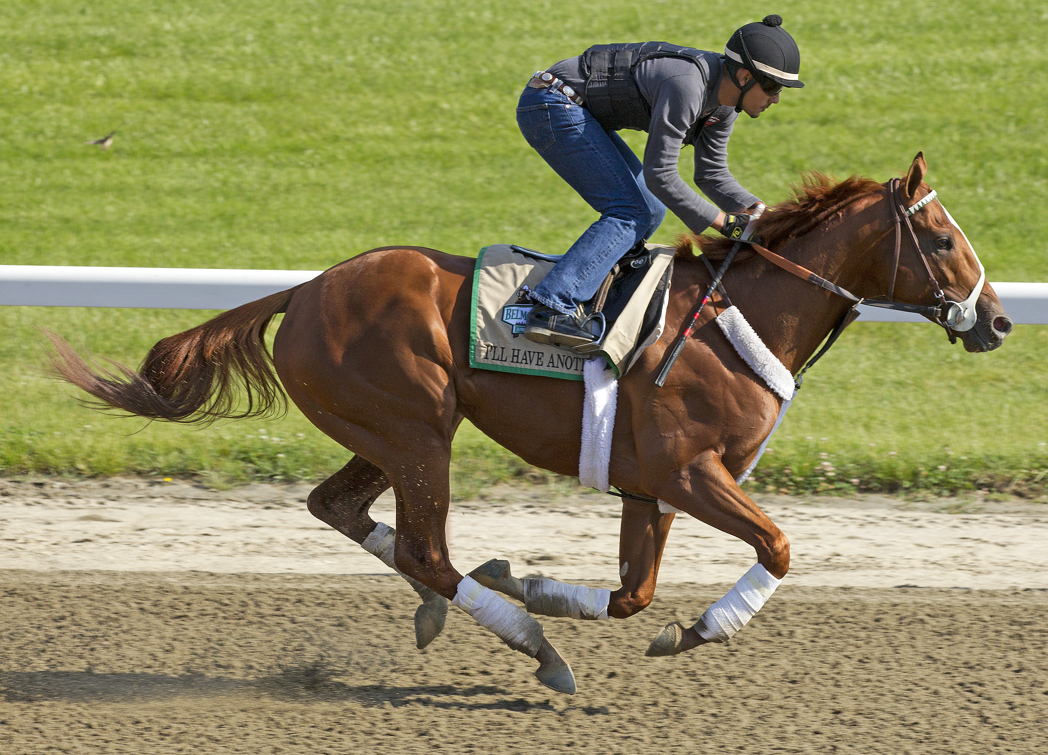 Belmont Stakes 2012: Show goes on without I'll Have Another