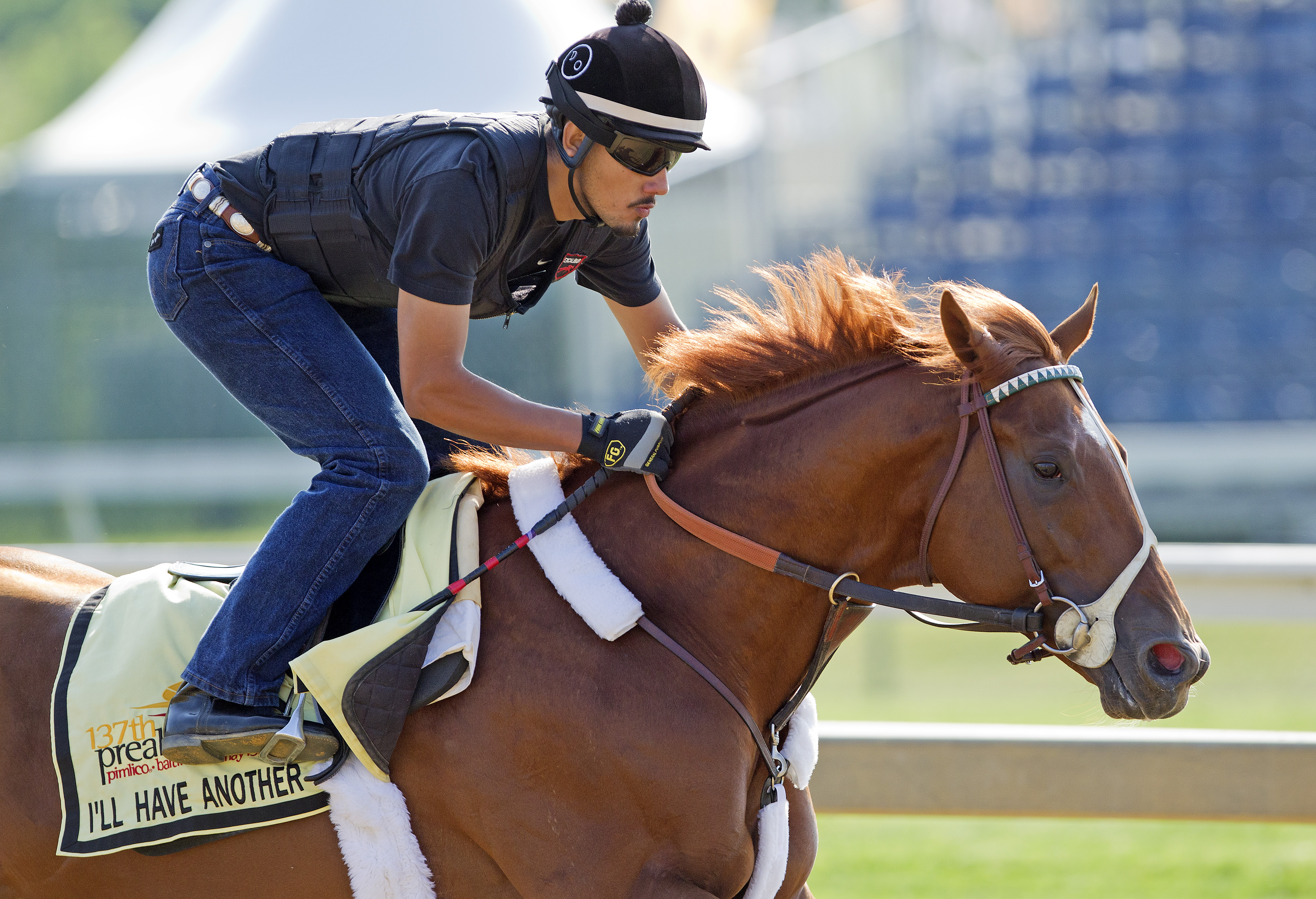 Belmont Stakes 2012: I'll Have Another's exercise rider ready to rejoin star partner