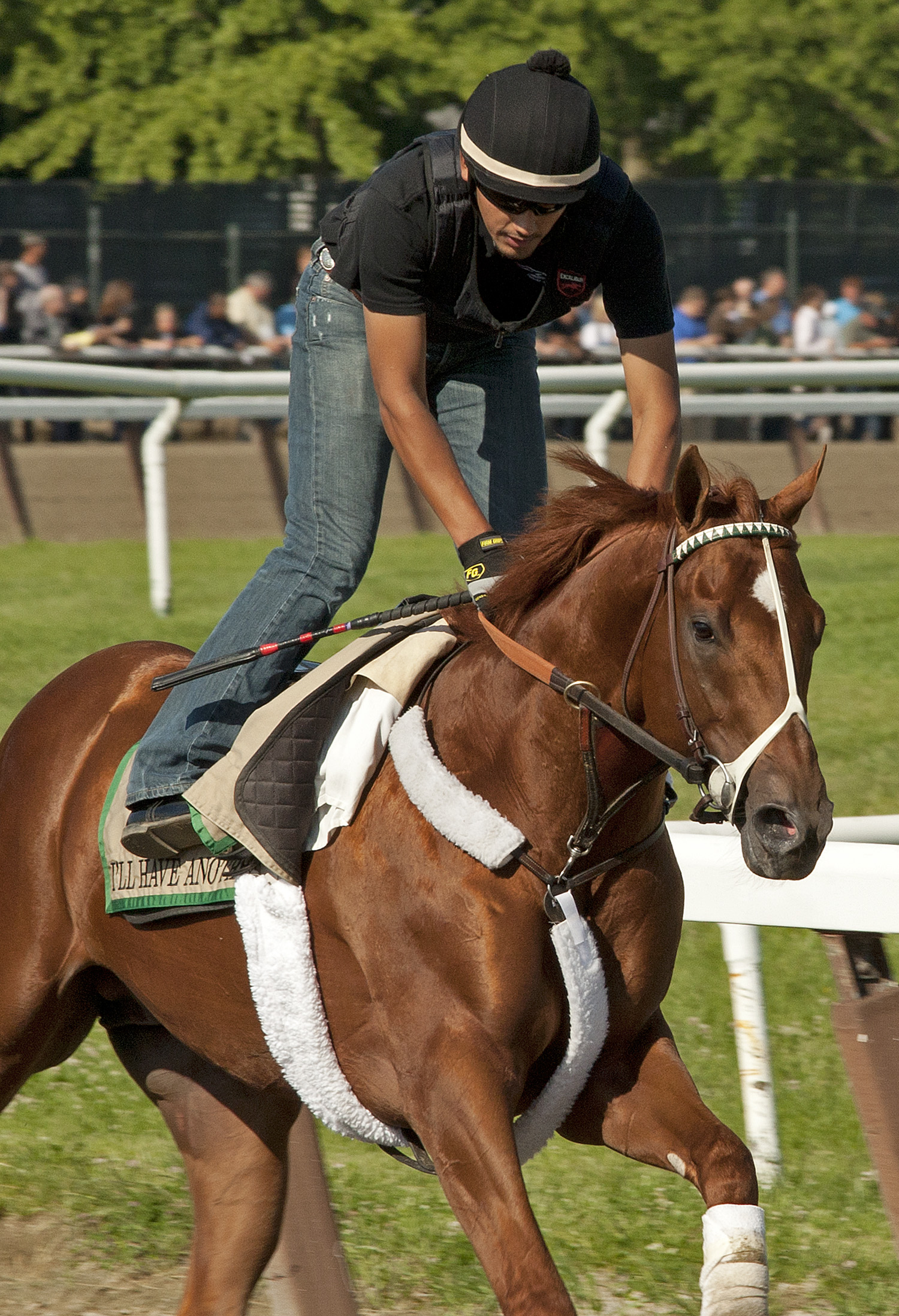 I'll Have Another one lap away from Triple Crown immortality