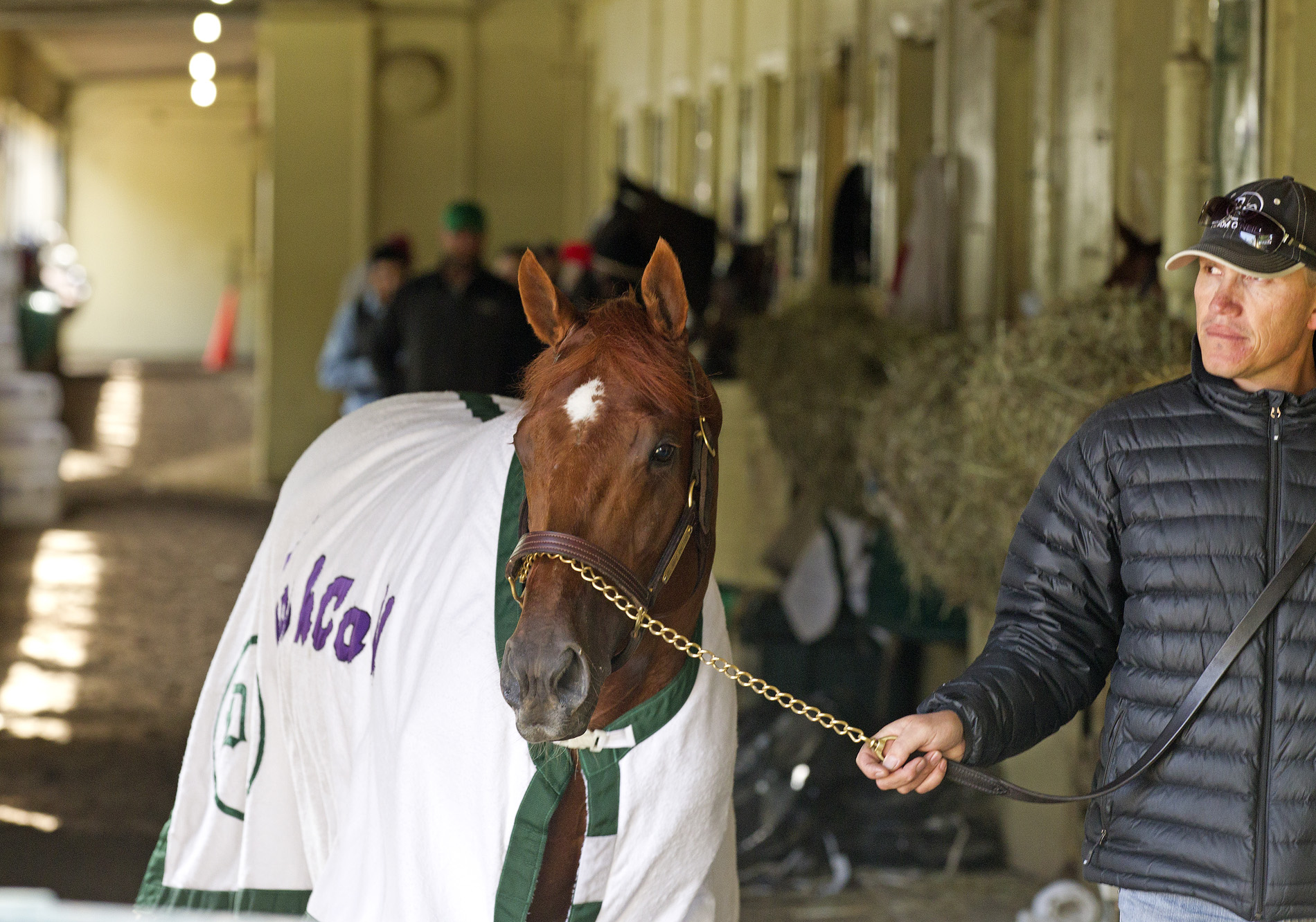 Belmont 2012: I'll Have Another's camp calm