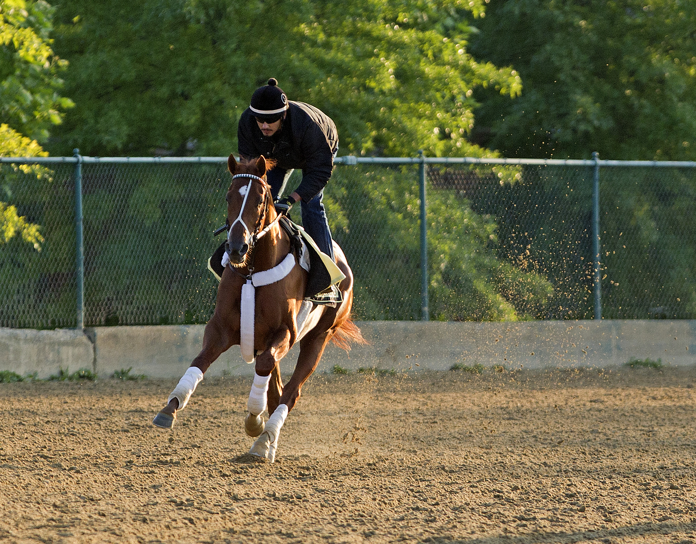 Hovdey: How would world react to a Triple Crown winner?