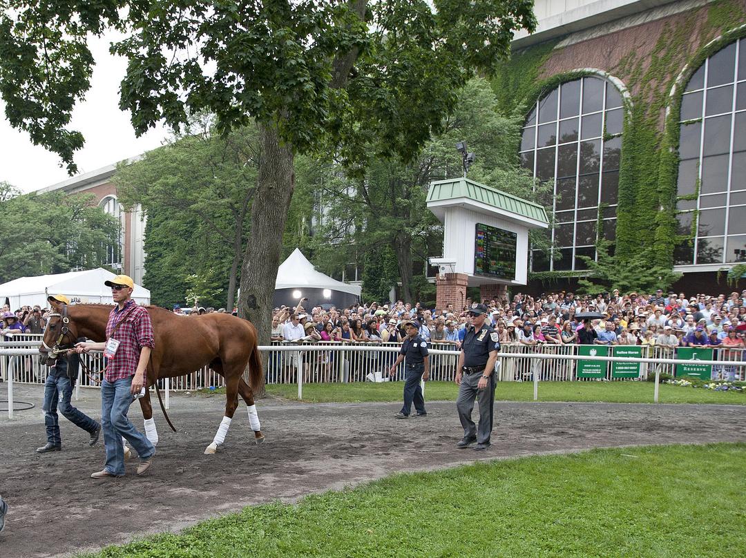 I'll Have Another at Belmont.6-9-2012
