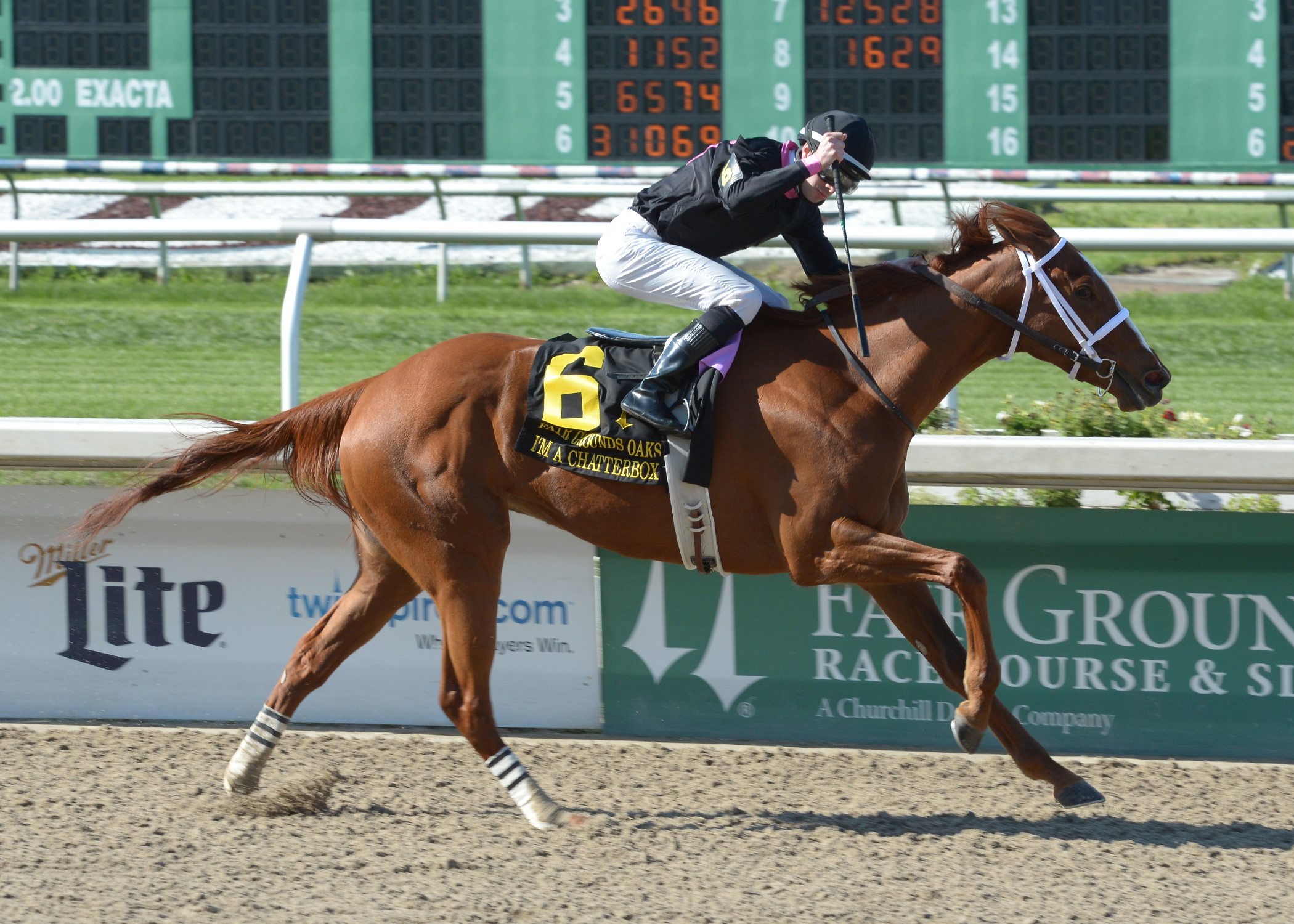 I'm a Chatterbox wins 2015 Fair Grounds Oaks