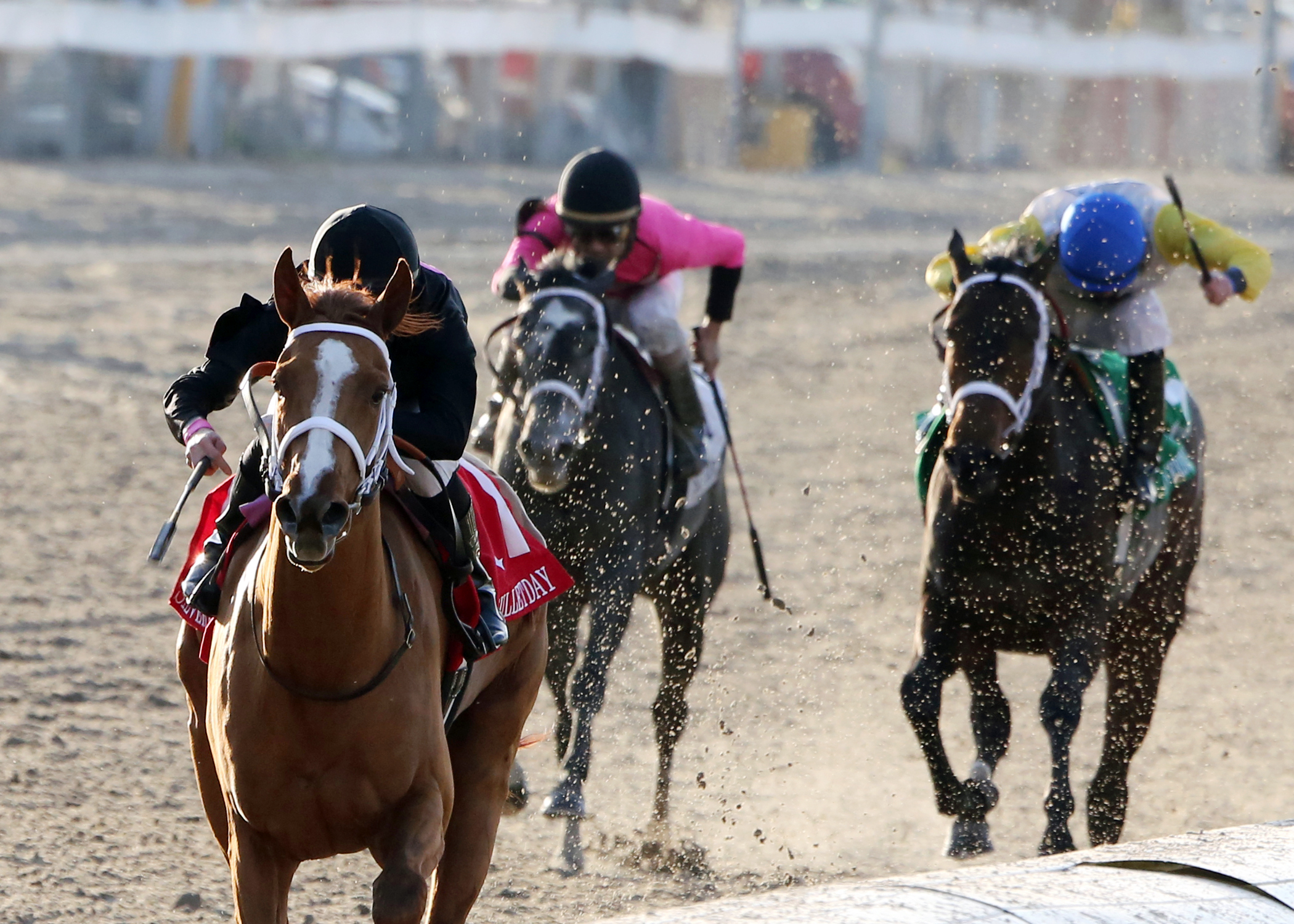 I'm a Chatterbox wins the Silverbulletday