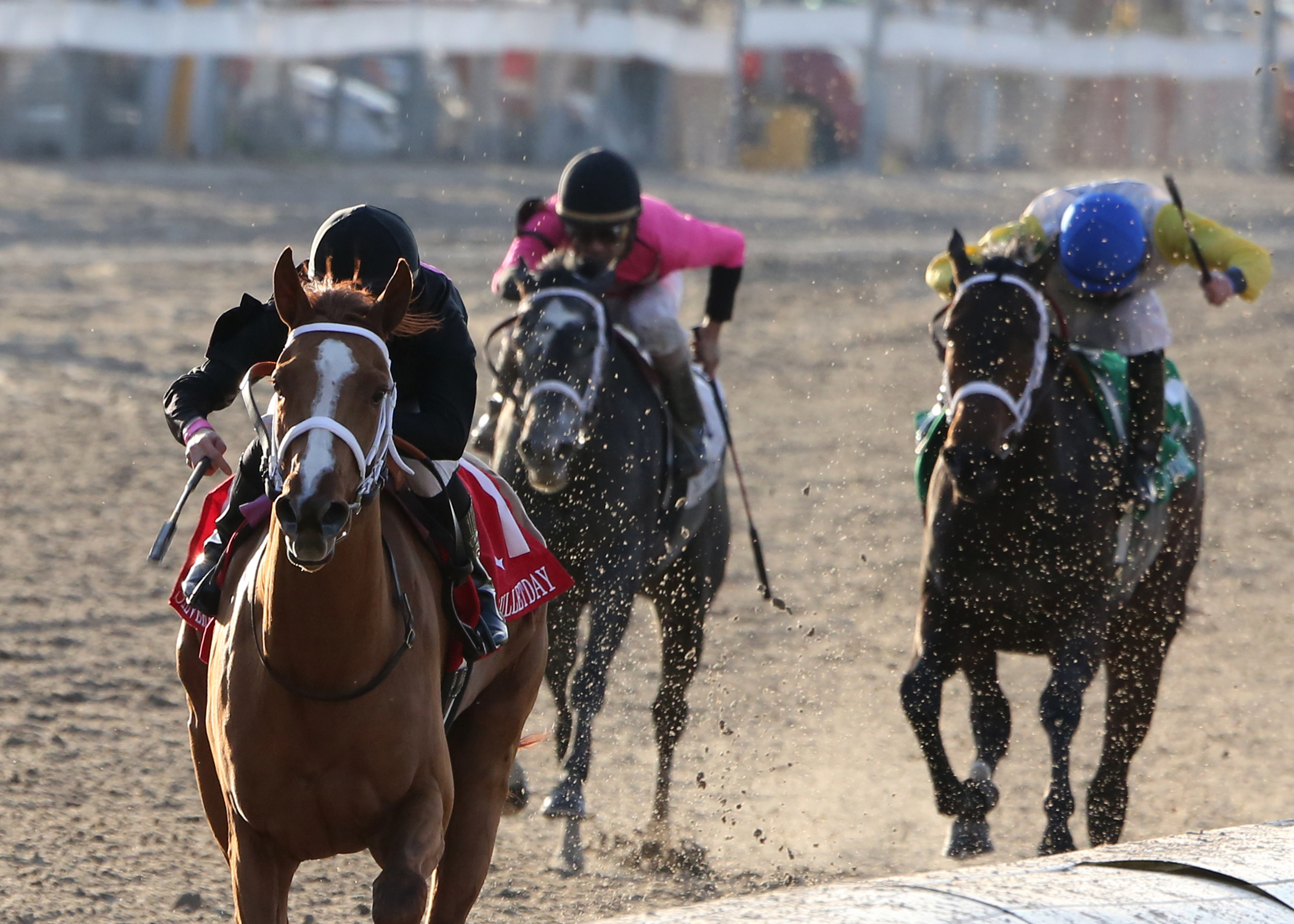 I'm a Chatterbox wins 2015 Silverbulletday