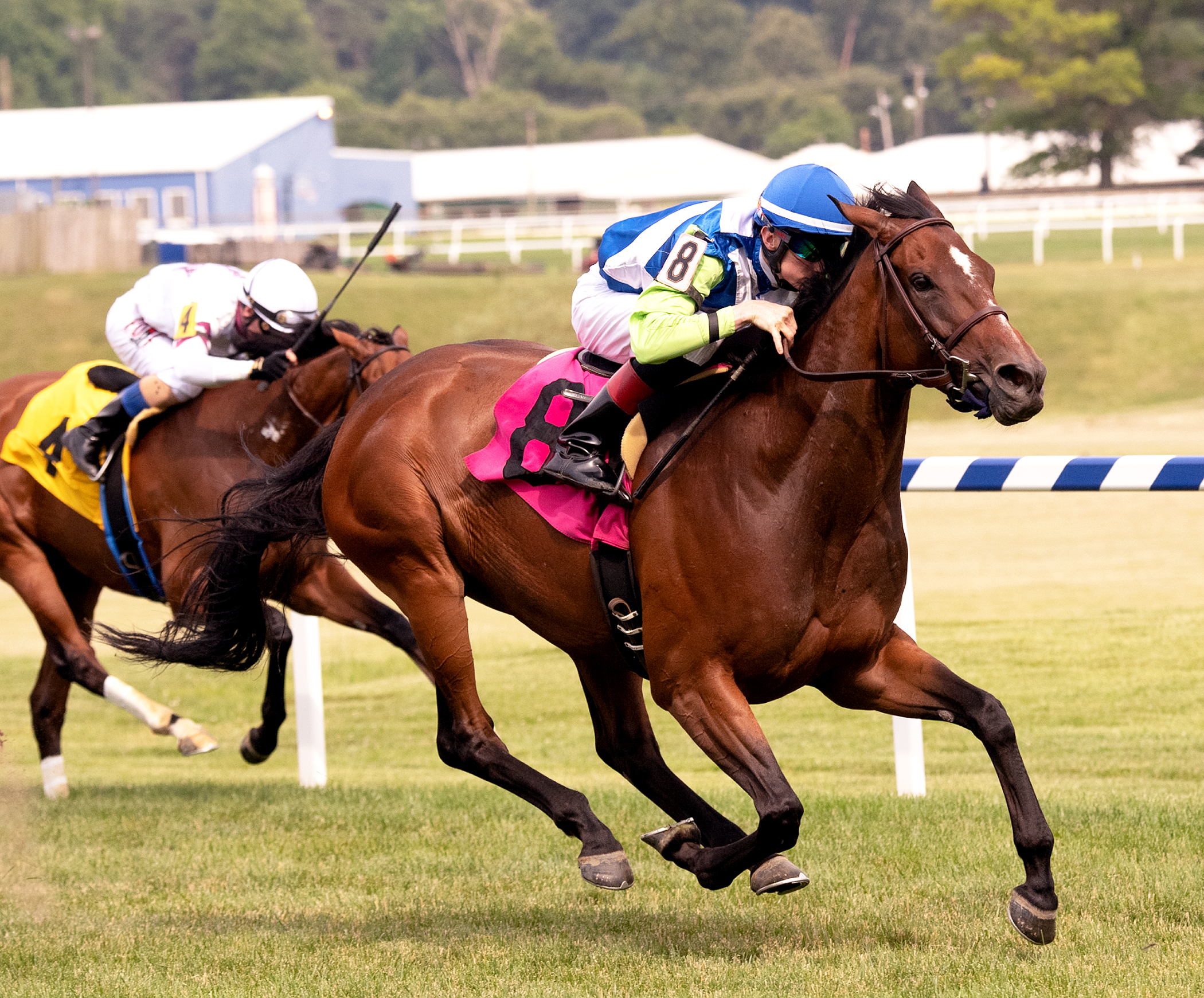 I'm So Fancy wins the 2019 Big Dreyfus Stakes