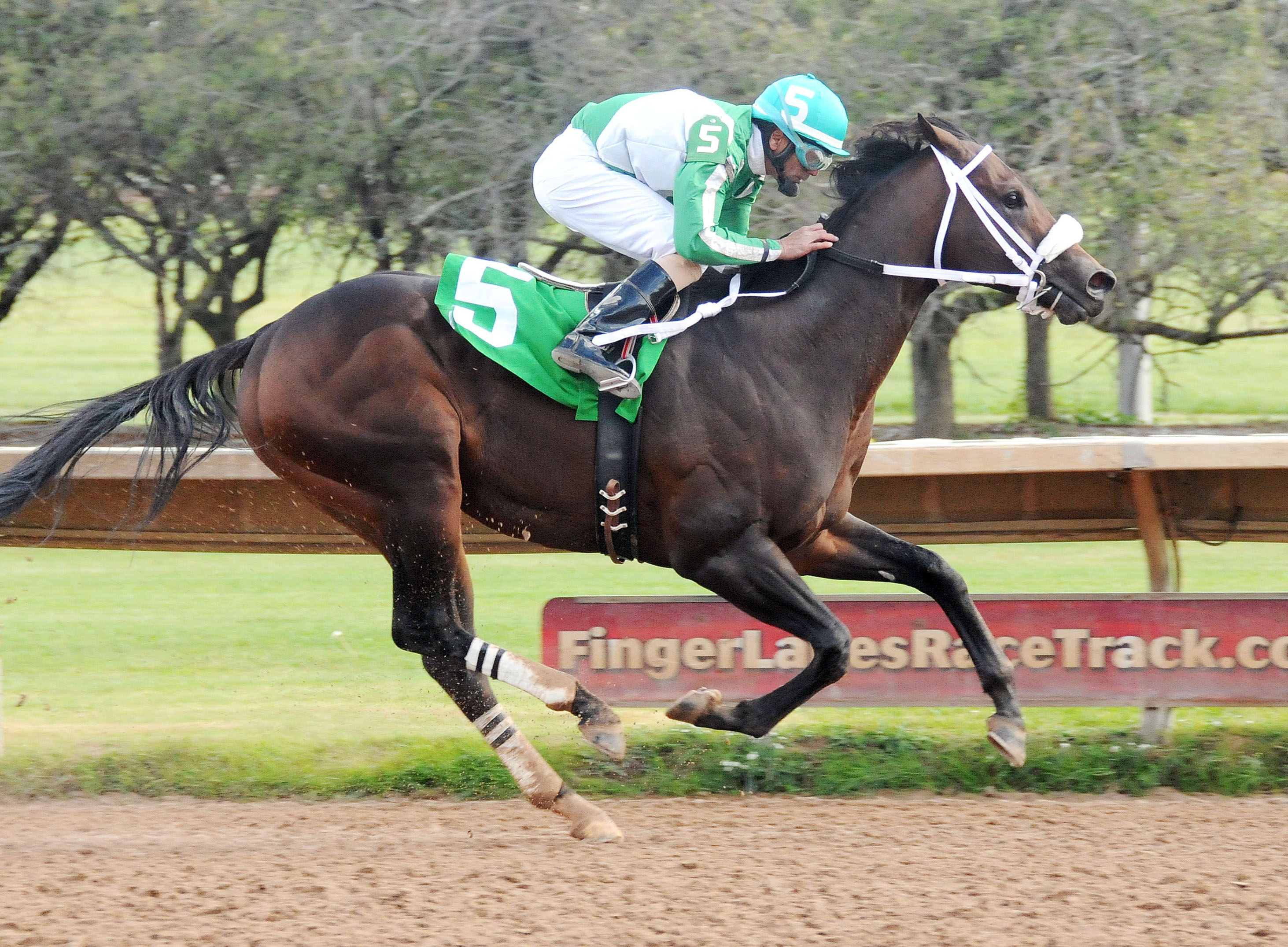 I'm Stoked wins the Leon Reed Memorial