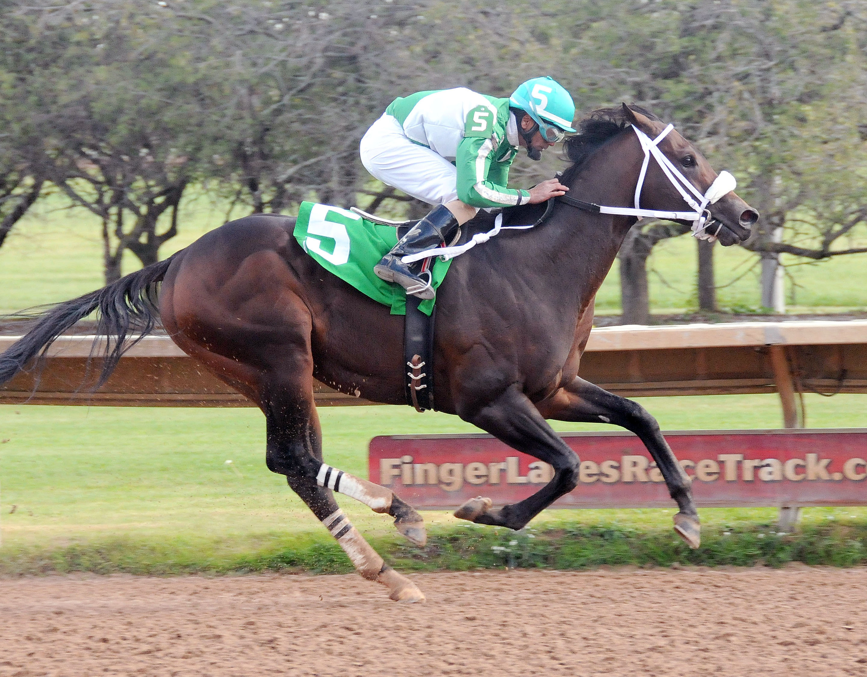 I'm Stoked wins the Leon Reed Memorial