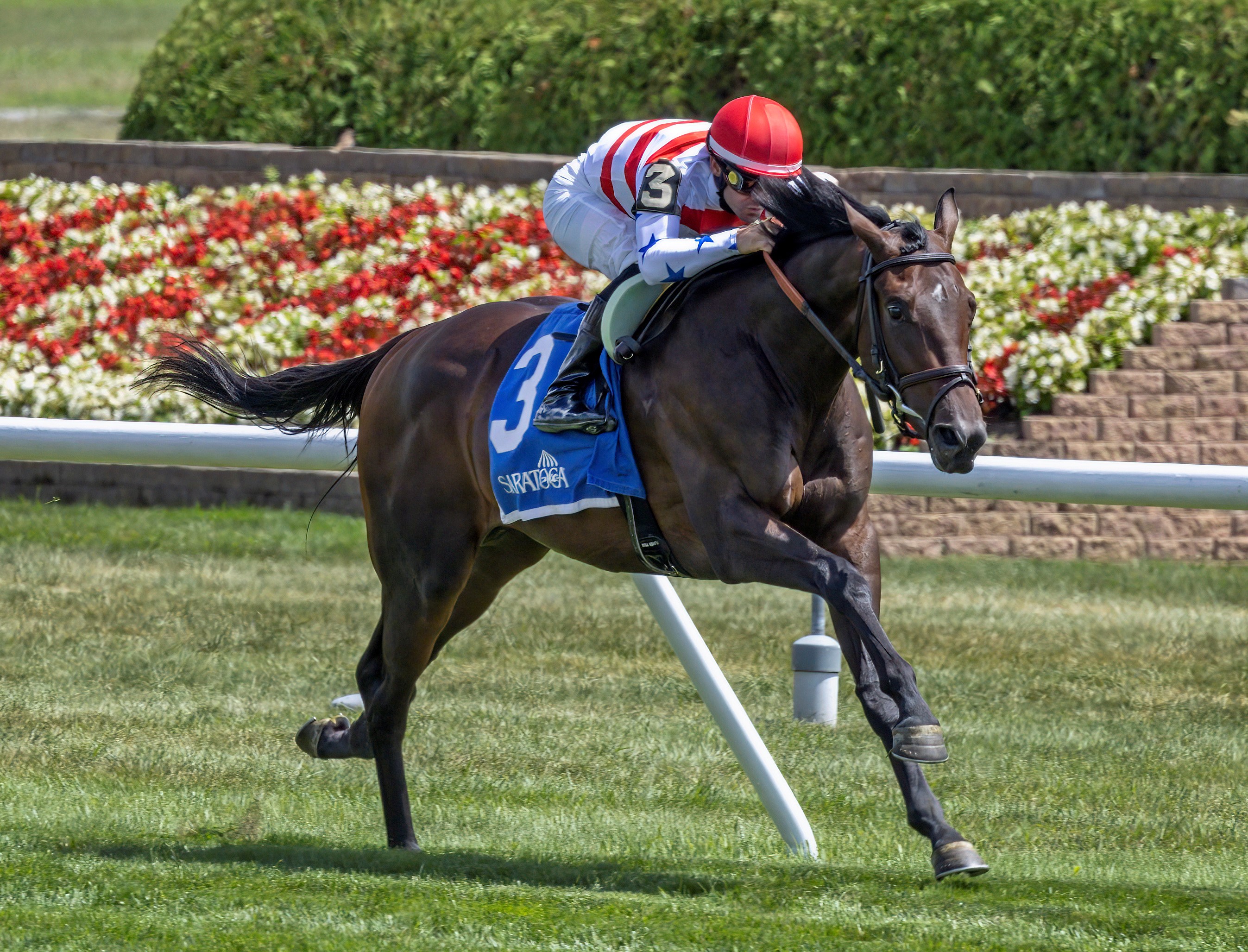I'm Very Busy wins his debut at Saratoga Aug 13 2022