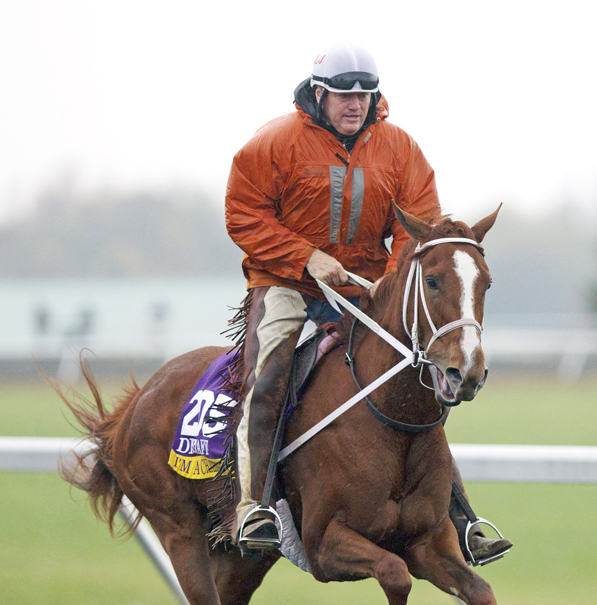 Trainer Larry Jones works I'm a Chatterbox in 2015