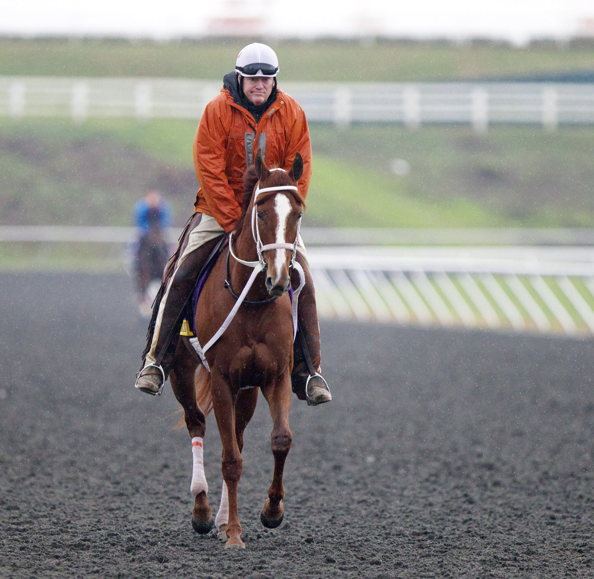 I'm a Chatterbox with trainer Larry Jones in October