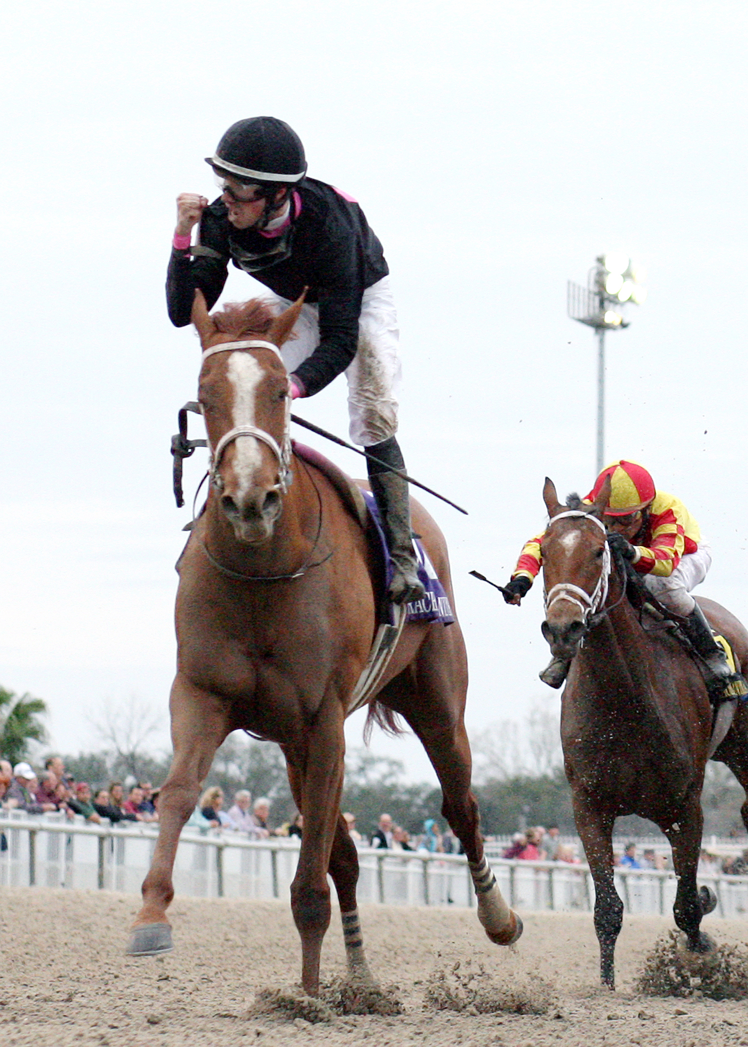 I'm a Chatterbox wins the Rachel Alexandra