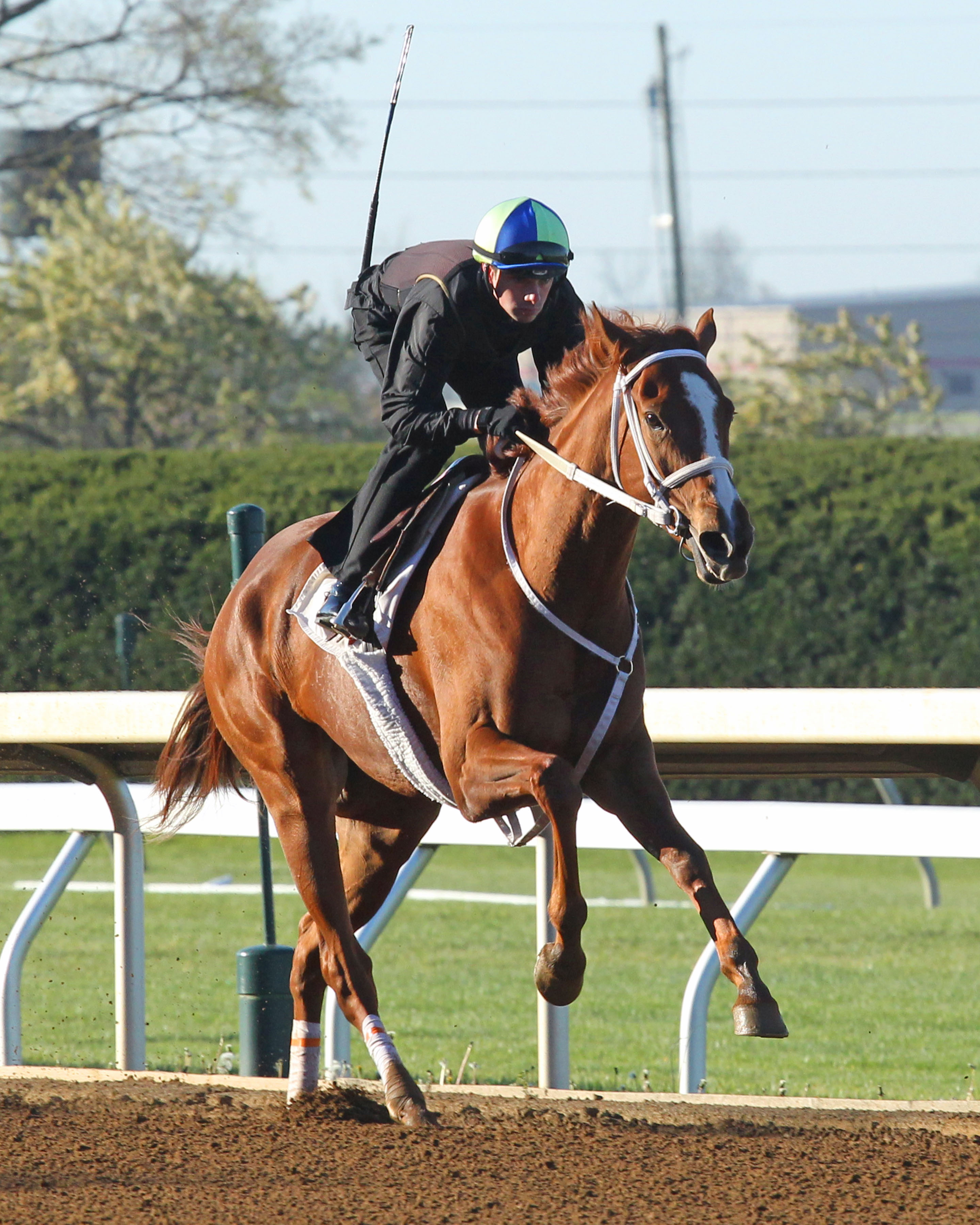 I'm a Chatterbox trains at Keeneland on April 17