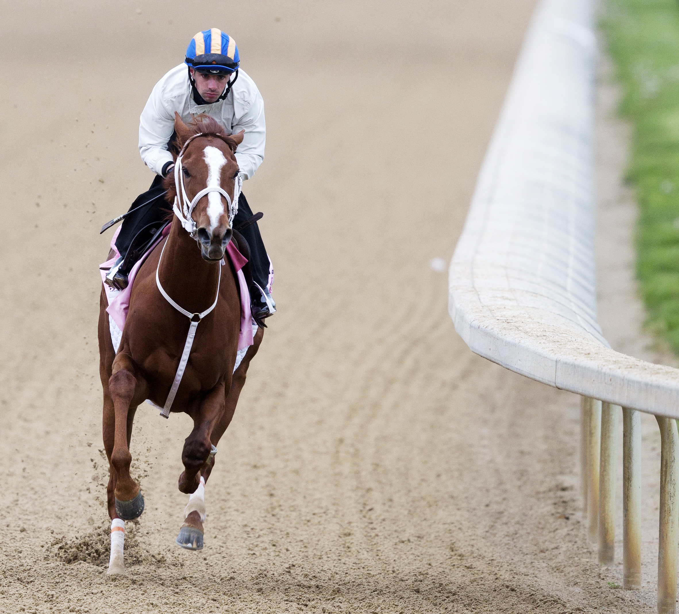 I'm a Chatterbox training at Churchill