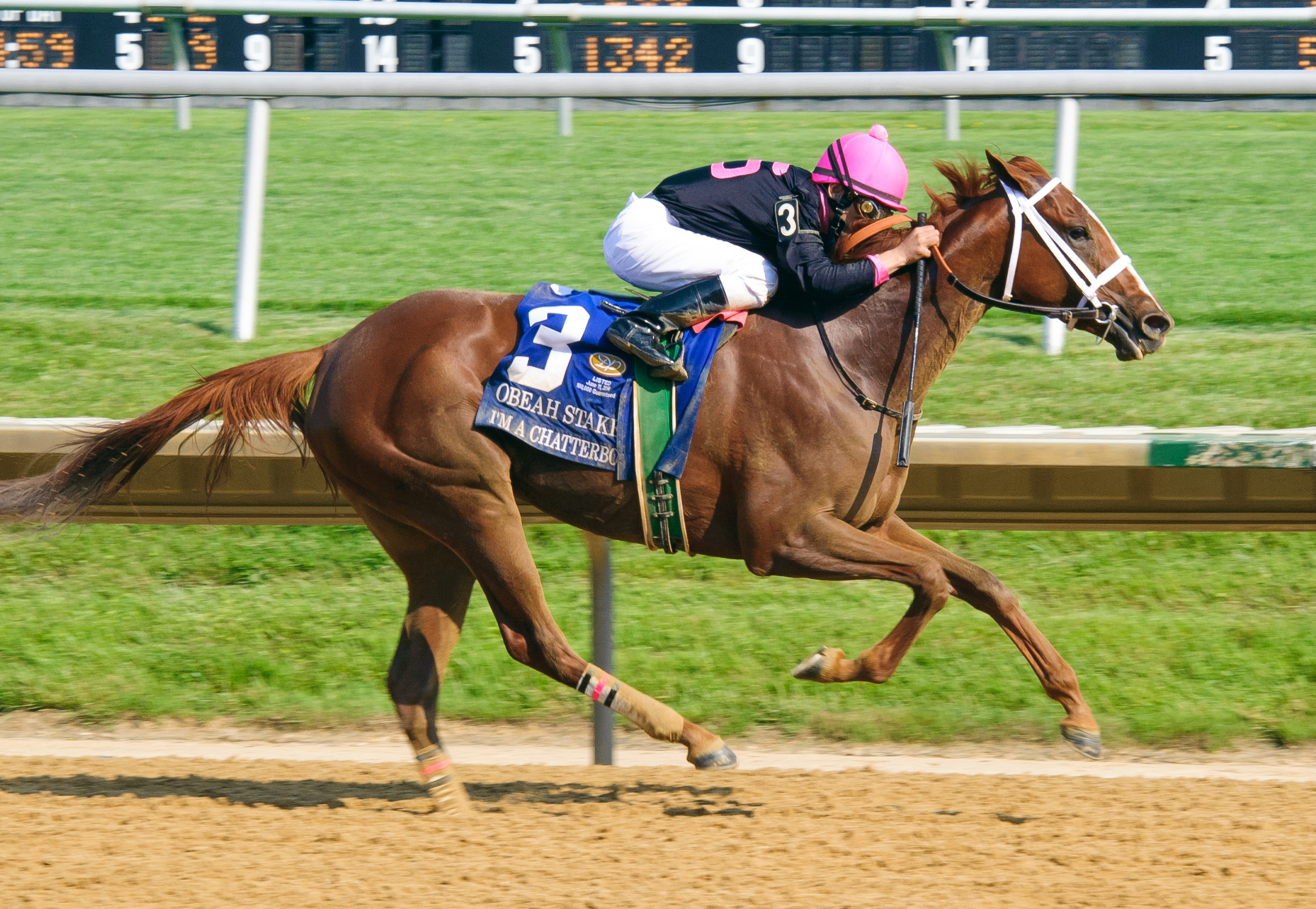 I'm a Chatterbox wins the Obeah Stakes
