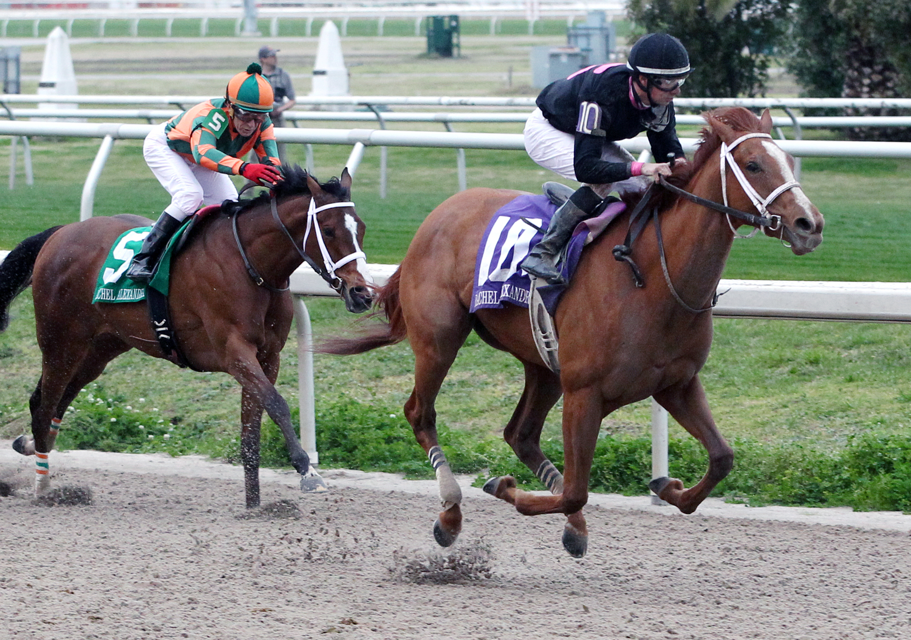 I'm a Chatterbox wins the Rachel Alexandra