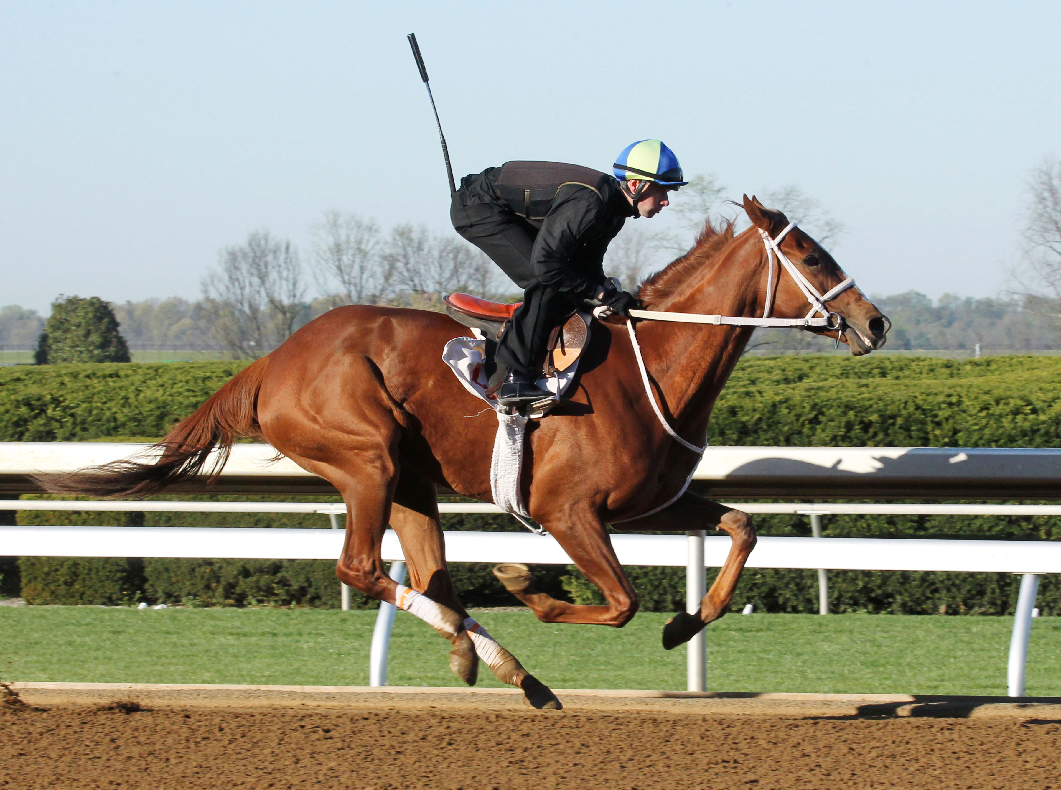 I'm a Chatterbox trains at Keeneland on April 17