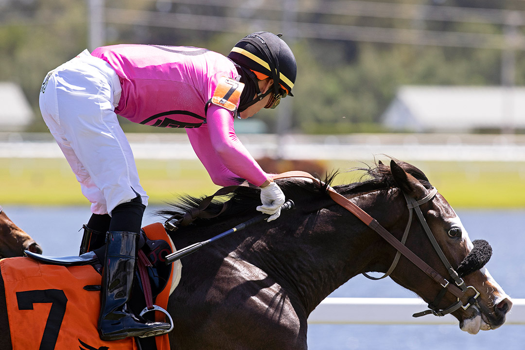 I Get It wins the 2021 Sanibel Island Stakes at Gulfstream