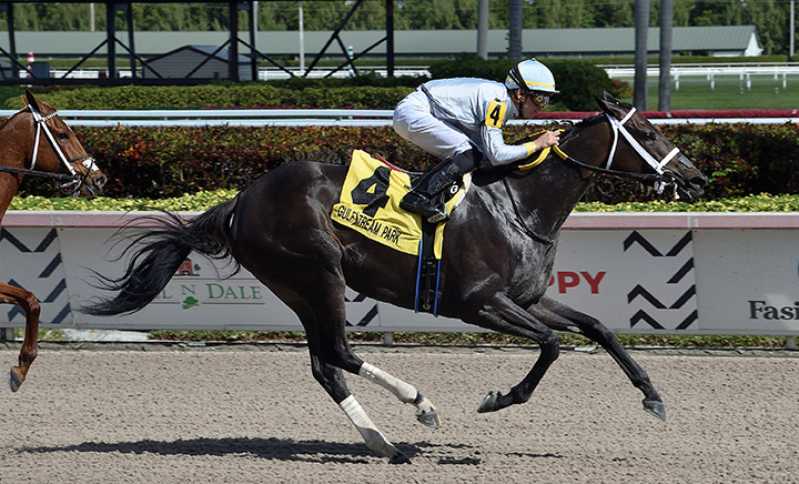 I'll Take the Cake wins the 2020 Lady Bird Stakes at Gulfstream Park