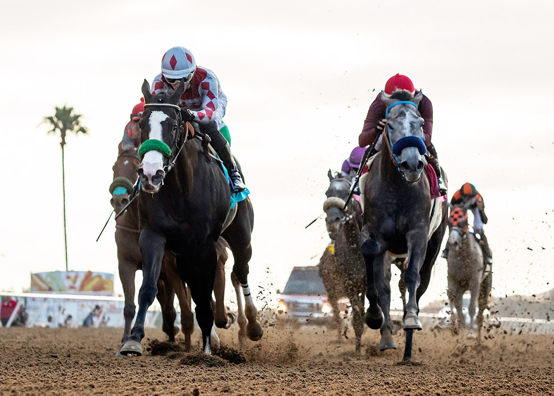 Teddy's Barino (right) finishes second in the 2021 Fleet Treat Stakes at Del Mar