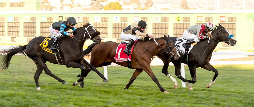 I'm So Anna (2) wins the Pike Place Dancer Stakes at Golden Gate