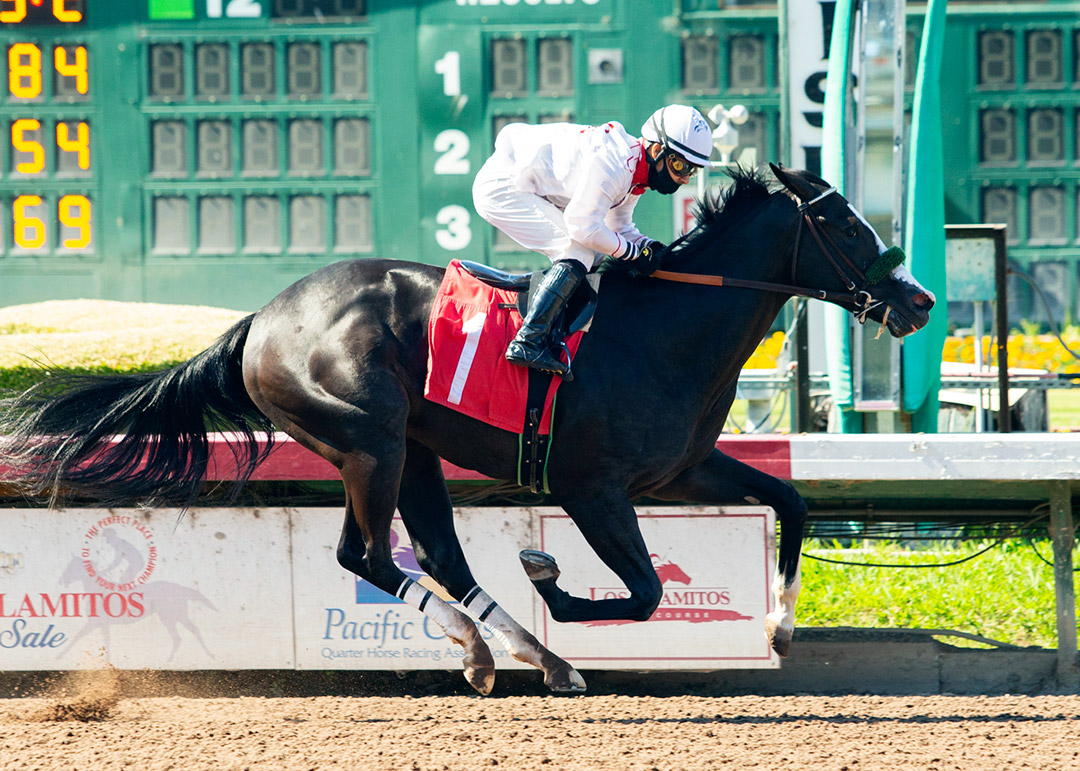 I'm So Anna wins a July 2 maiden race at Los Alamitos Race Course
