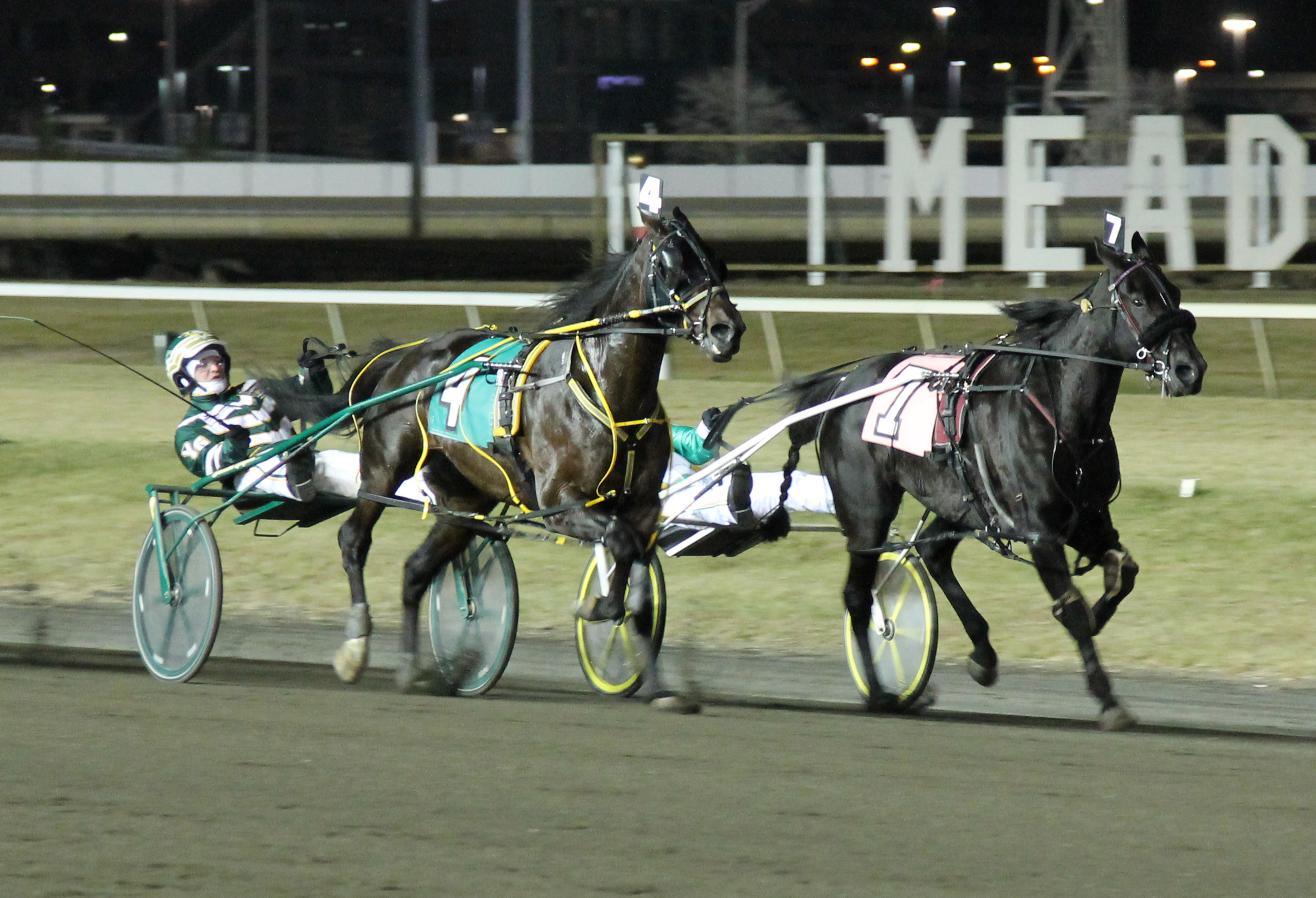 Foiled Again_TVG Final 2013