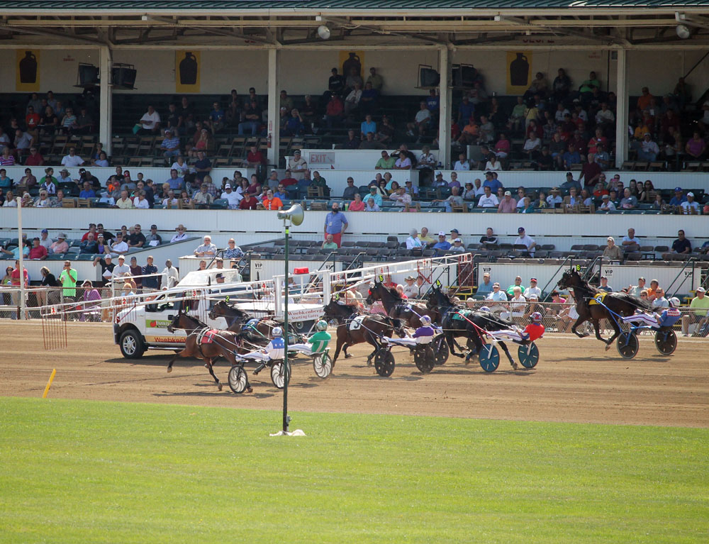 Delaware County Fair_behind gate