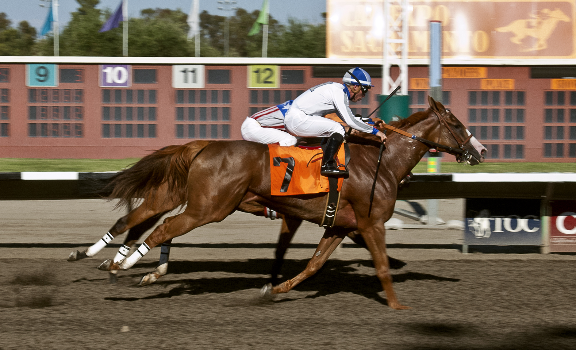 Indian Gracey 7-21-2012