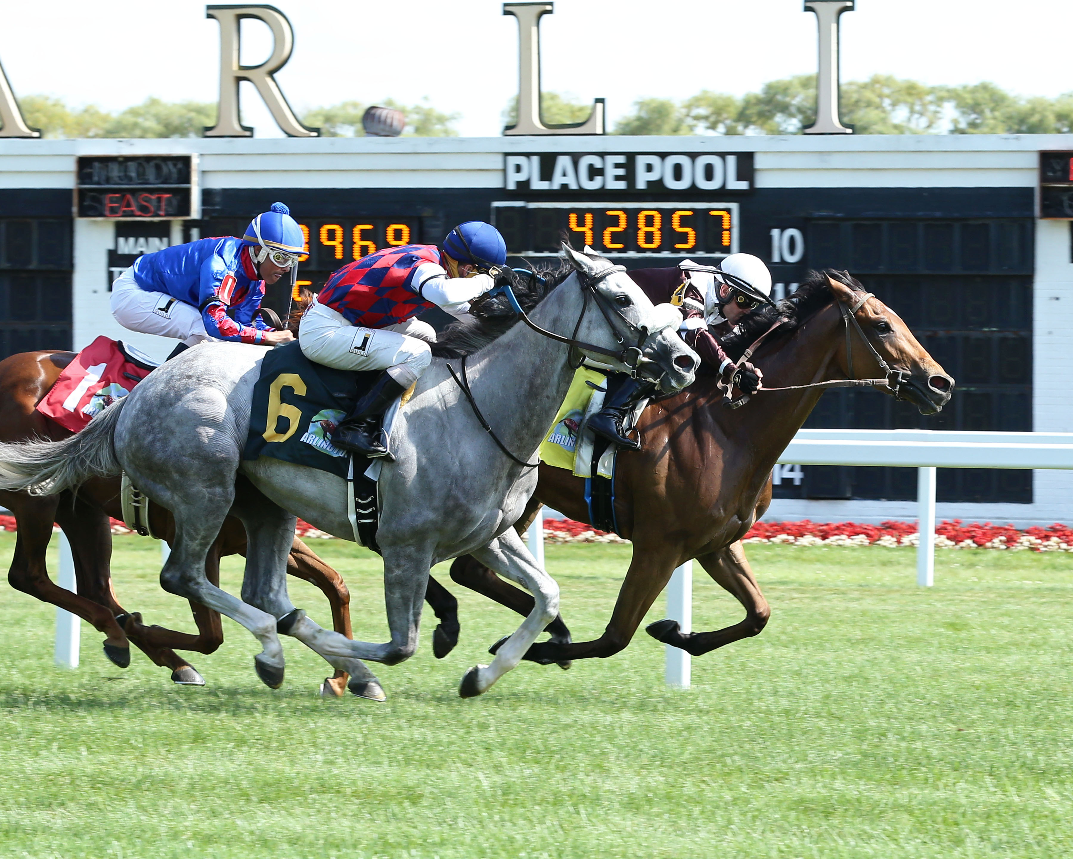 Indigo Gin wins the 2019 Hatoof Stakes