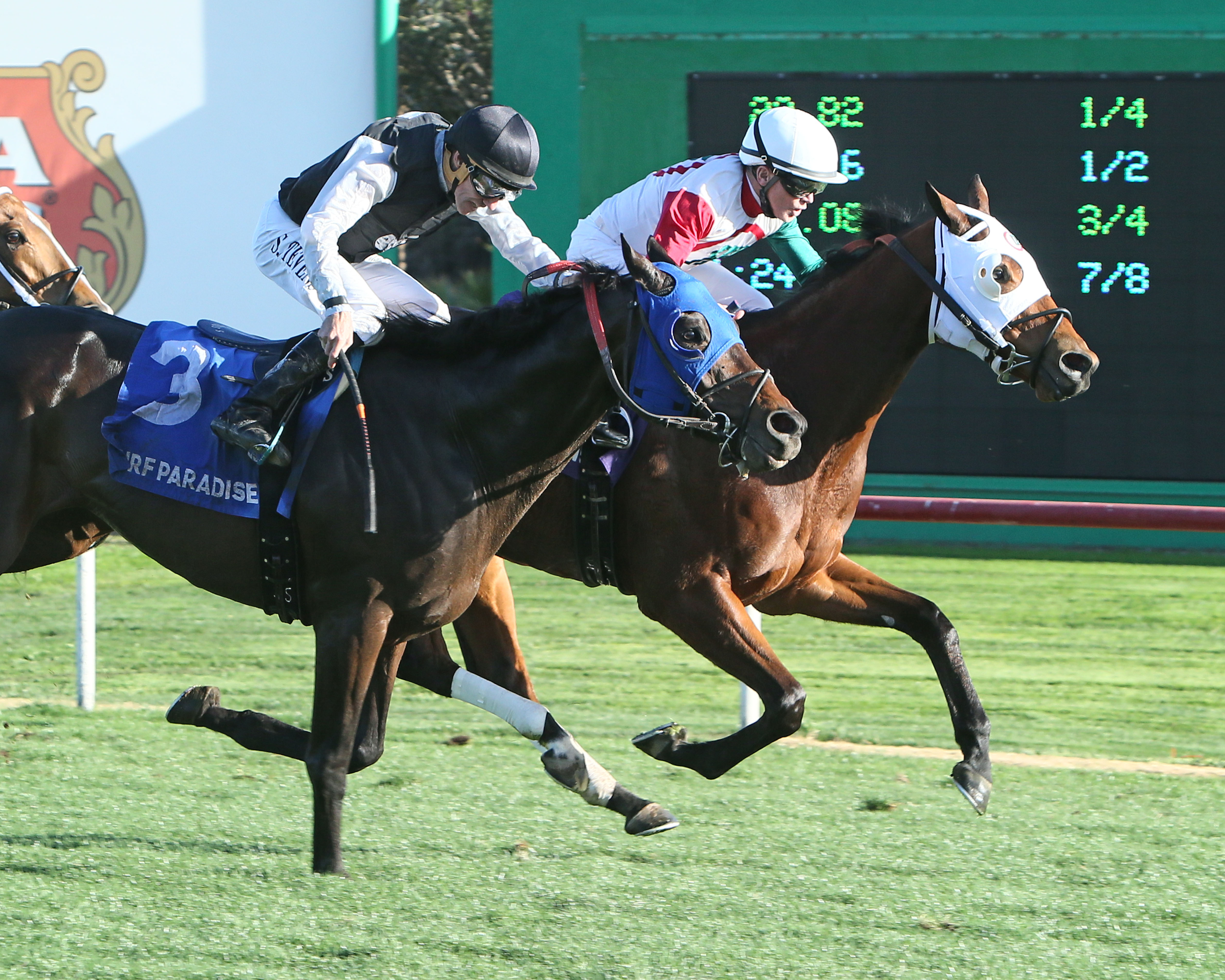 Inside Straight - white blinkers - wins the 2018 Cotton Fitzsimmons Mile