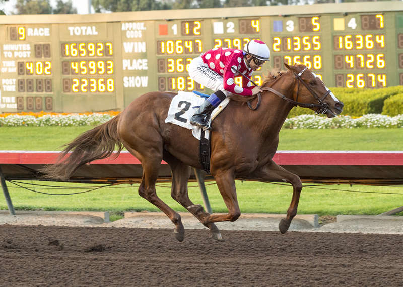 Intimidate wins the 2017 King Glorious Stakes