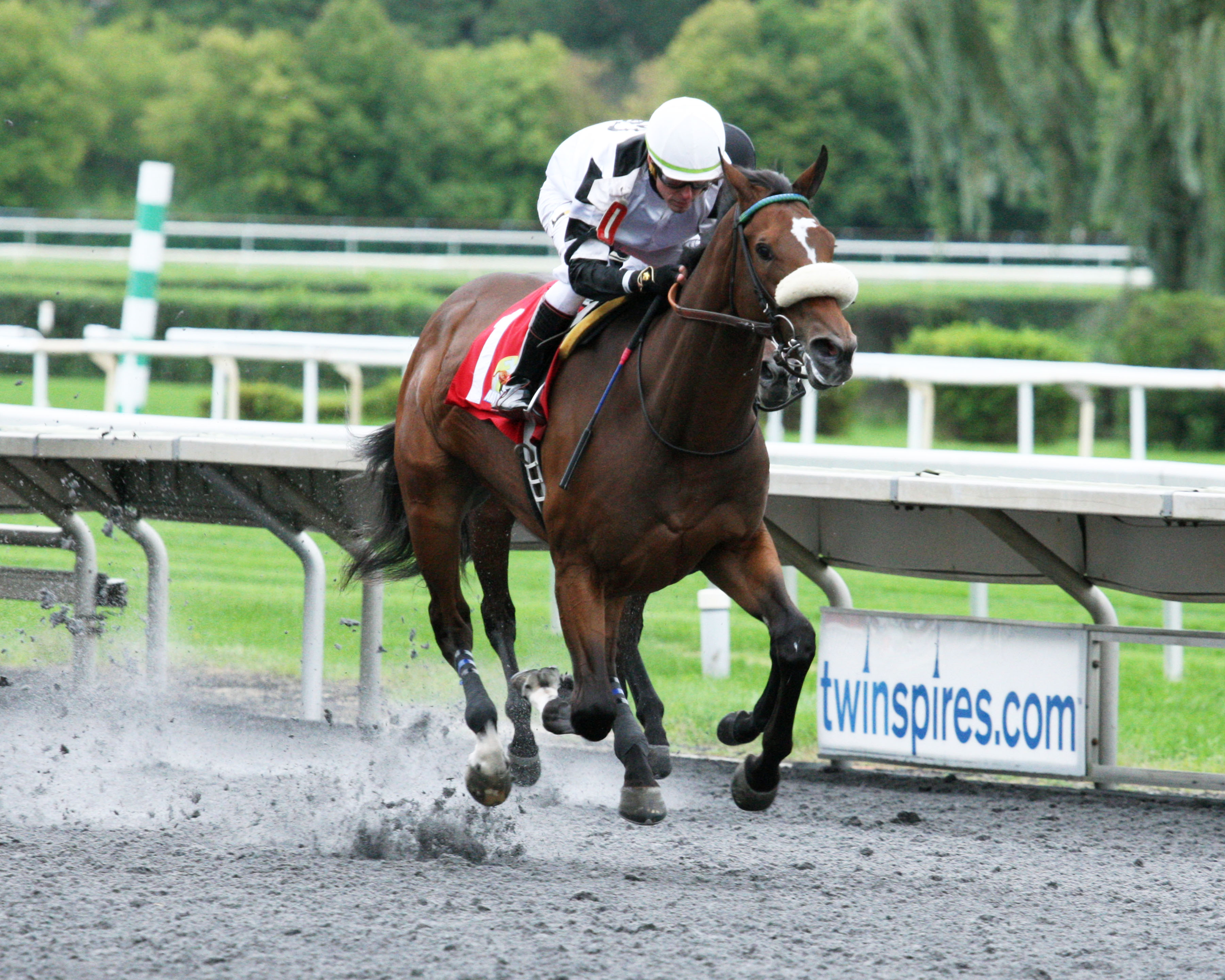 Into Trouble wins the 2018 Arlington-Washington Lassie