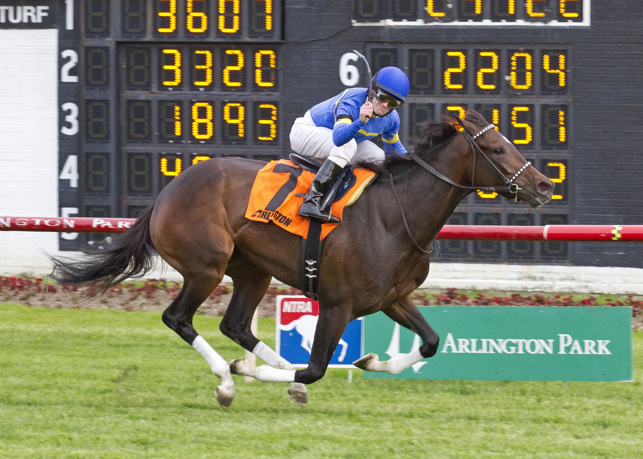 Istanford 5-24-2014
