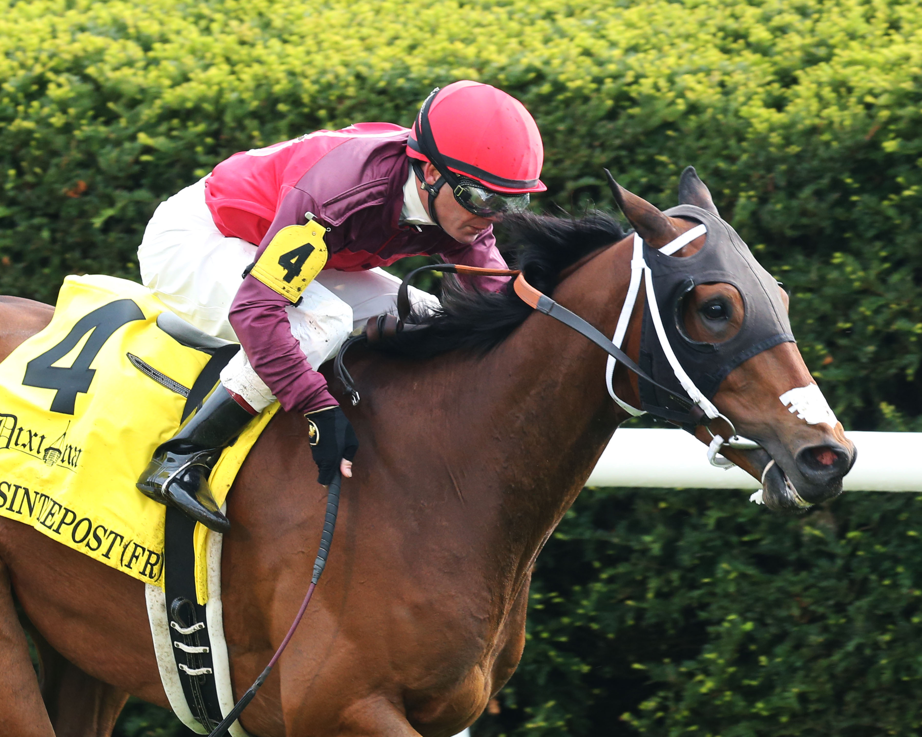Itsinthepost wins the 2017 Elkhorn