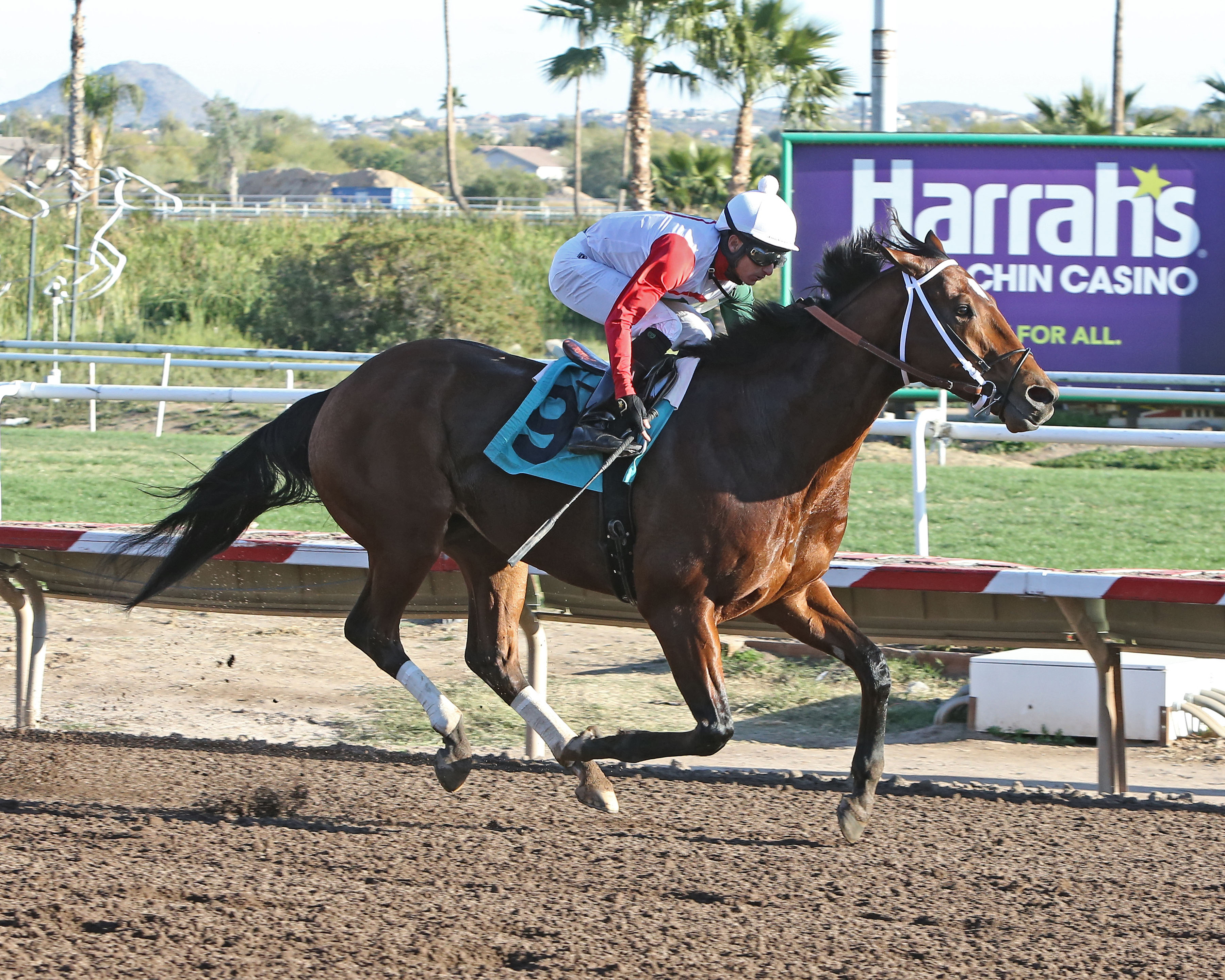 Izzy the Warrior wins the 2018 Cave Creek Stakes
