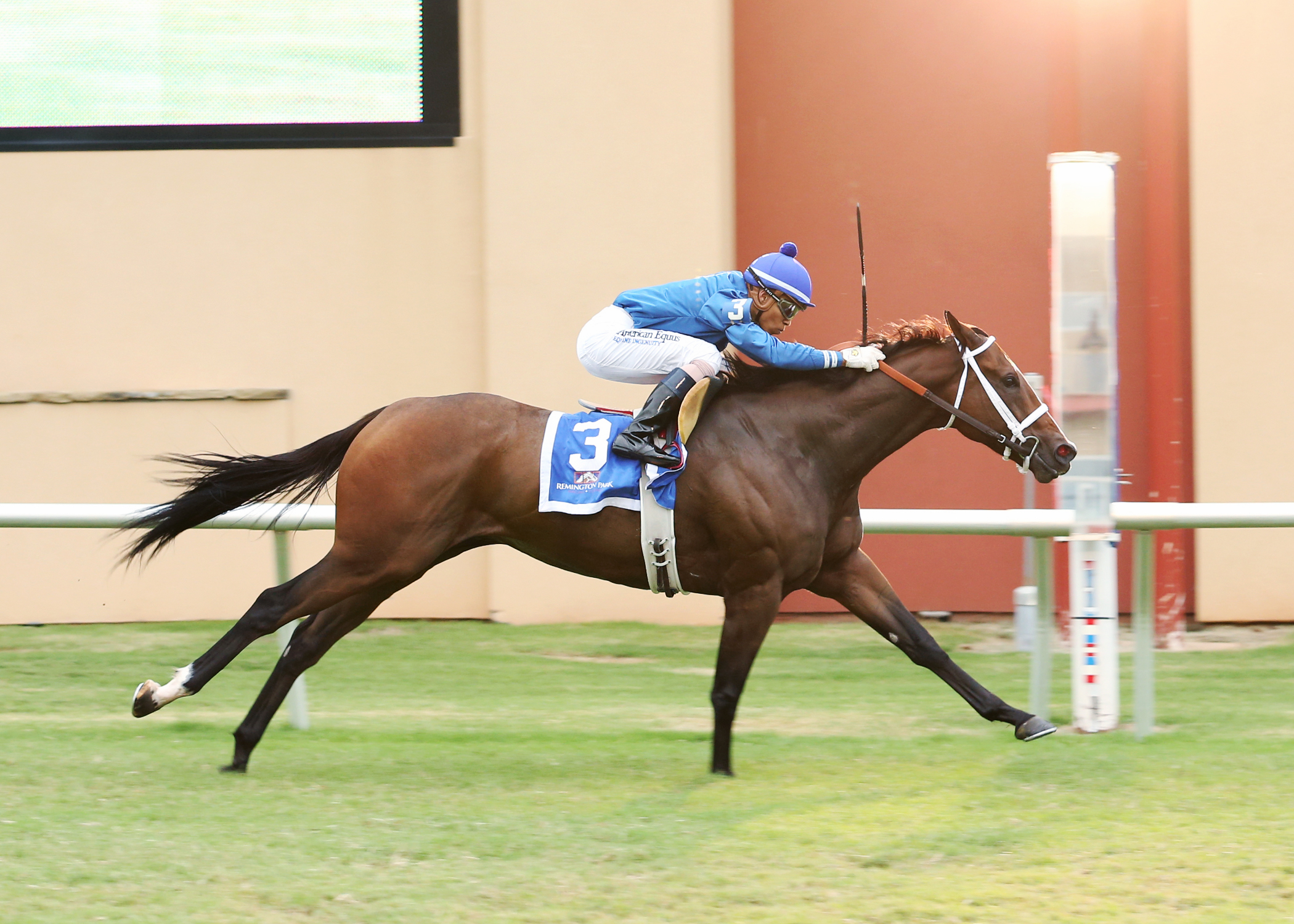 Ibaka wins the Red Earth Stakes