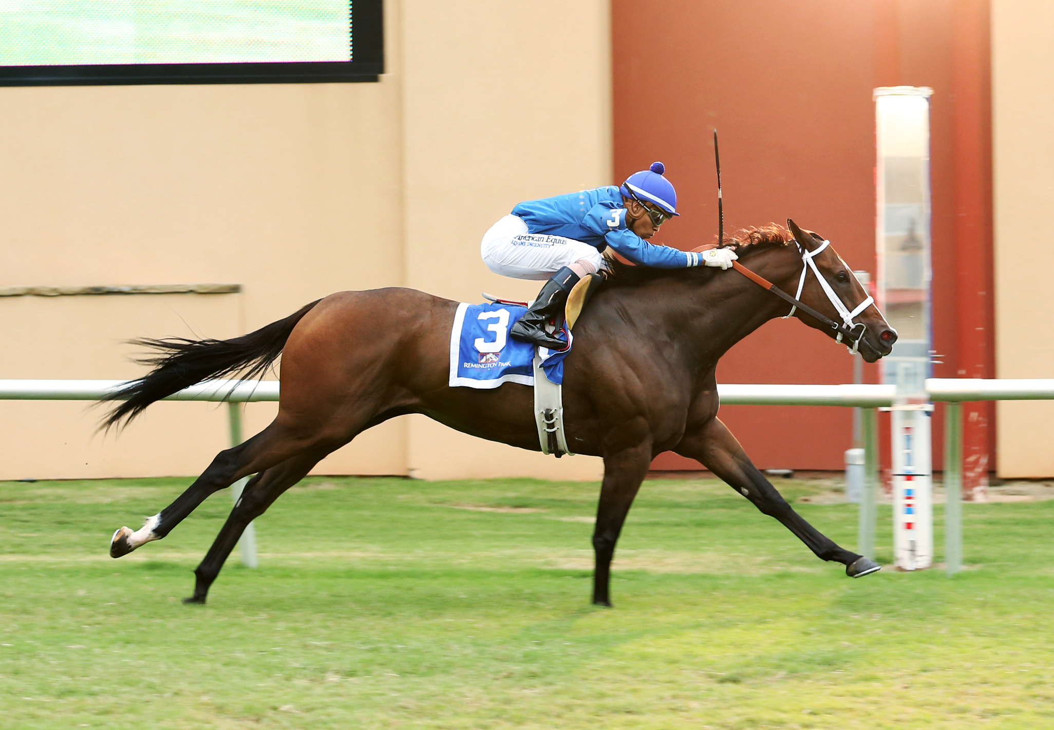 Ibaka wins the Red Earth Stakes