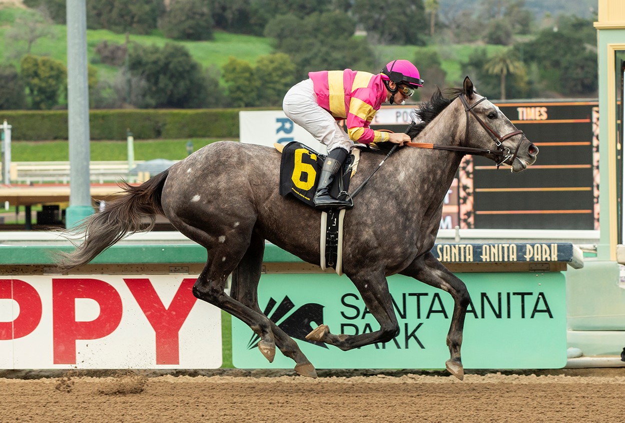 Ice Dancing wins Santa Ynez at SA Jan 8 2023